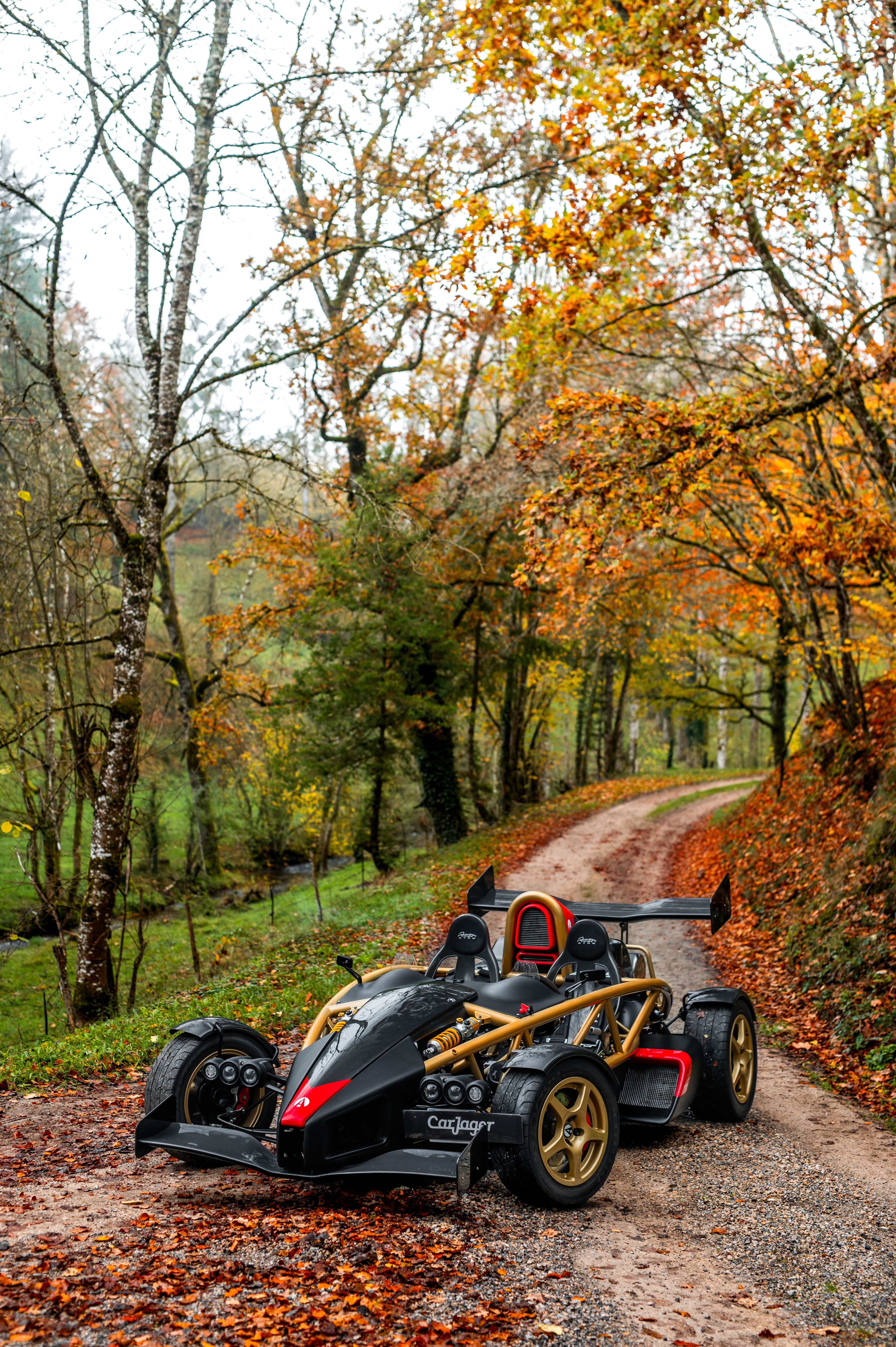4024x6048 ARIEL Atom 500 2013 used France (0)