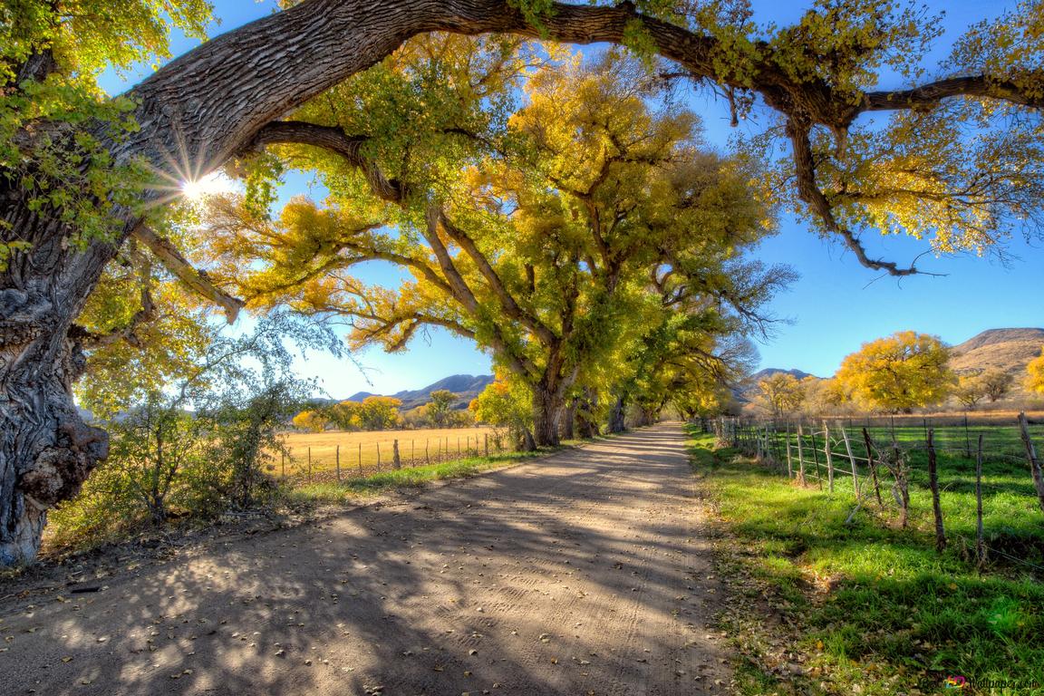 1152x768 Dirt Road at Sunrise in Countryside 4K wallpaper download