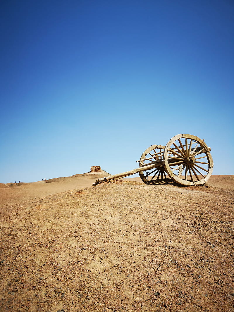800x1067 HD usa outdoors wallpaper