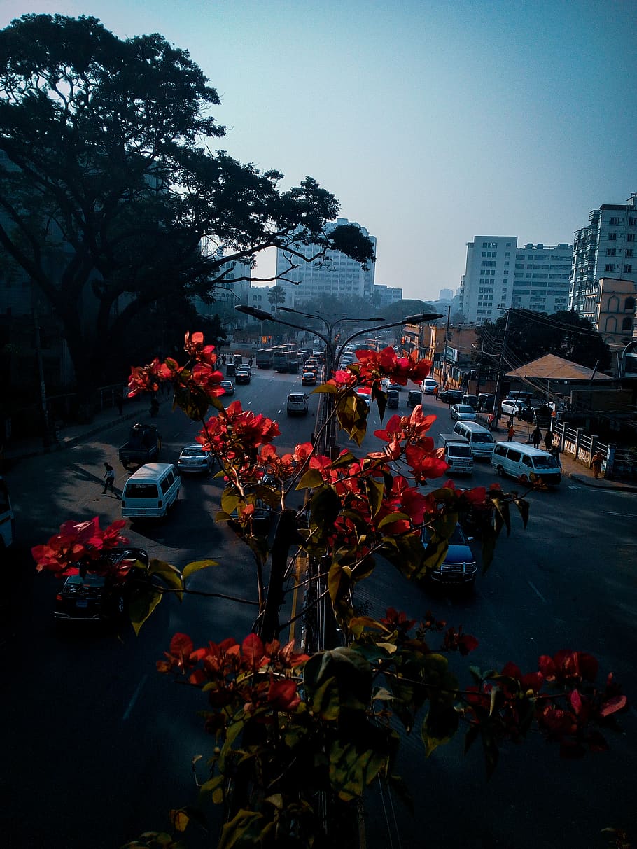 910x1213 Dhaka city 1080P, 2K, 4K, 5K HD wallpaper free download