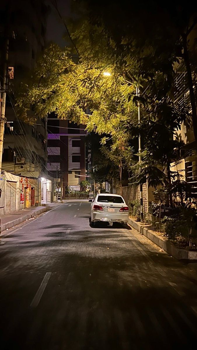 675x1200 Niketon