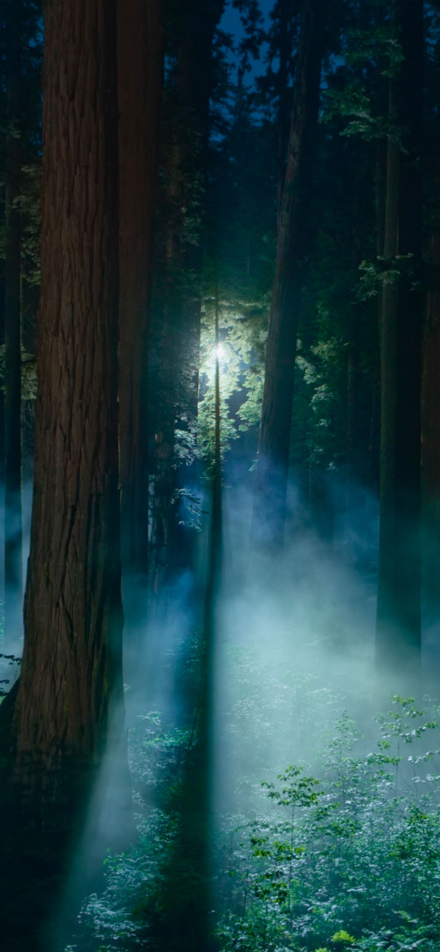1420x3073 Official macOS Sequoia 15.0 Wallpaper 4K (Night)