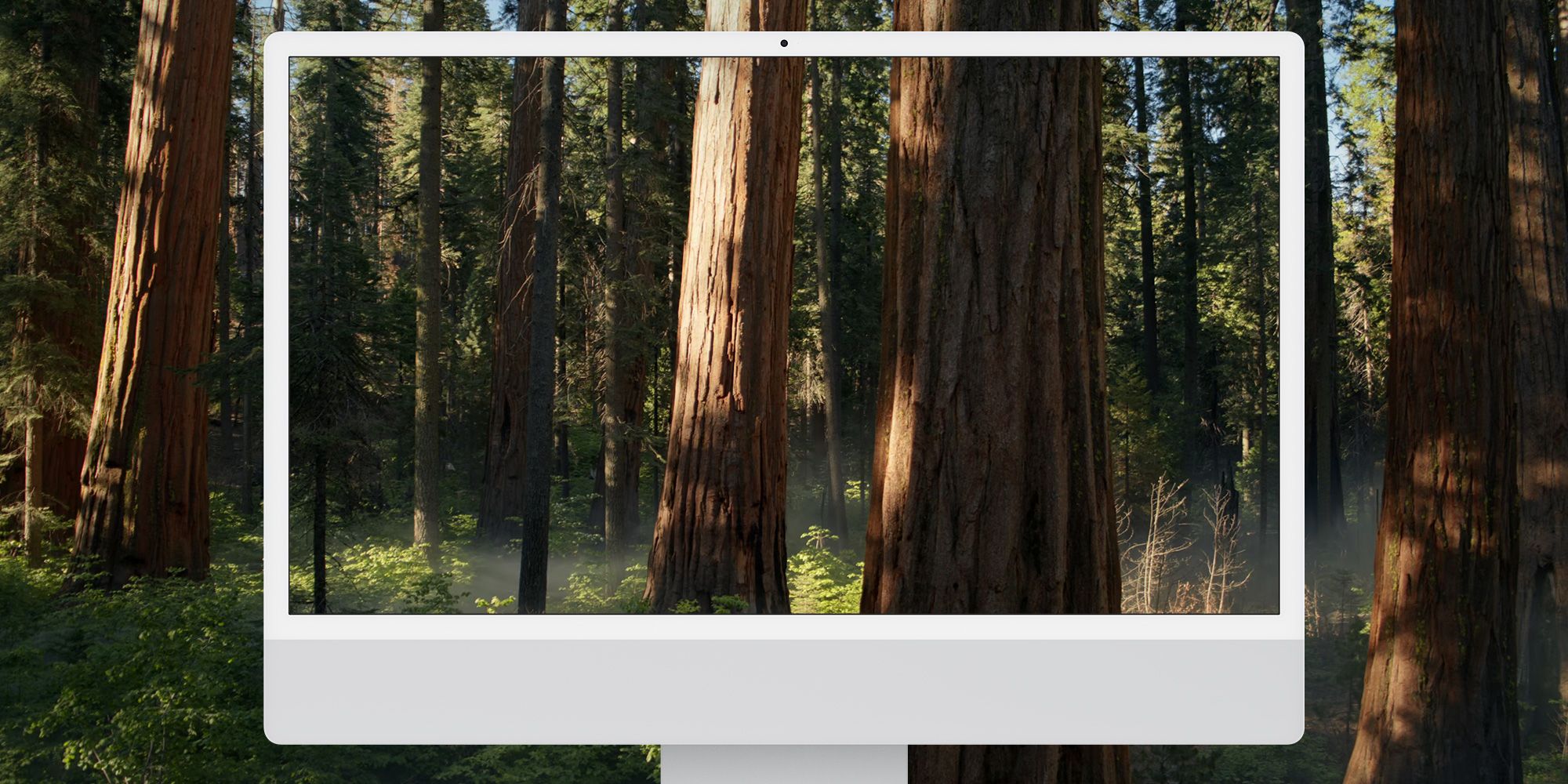2000x1000 Download the new macOS Sequoia beta 5 wallpaper