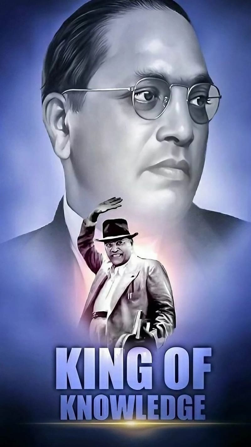 800x1422 Dr Babasaheb Ambedkar, King Of Knowledge, indian jurist, bhimrao ramji ambedkar, HD phone wallpaper