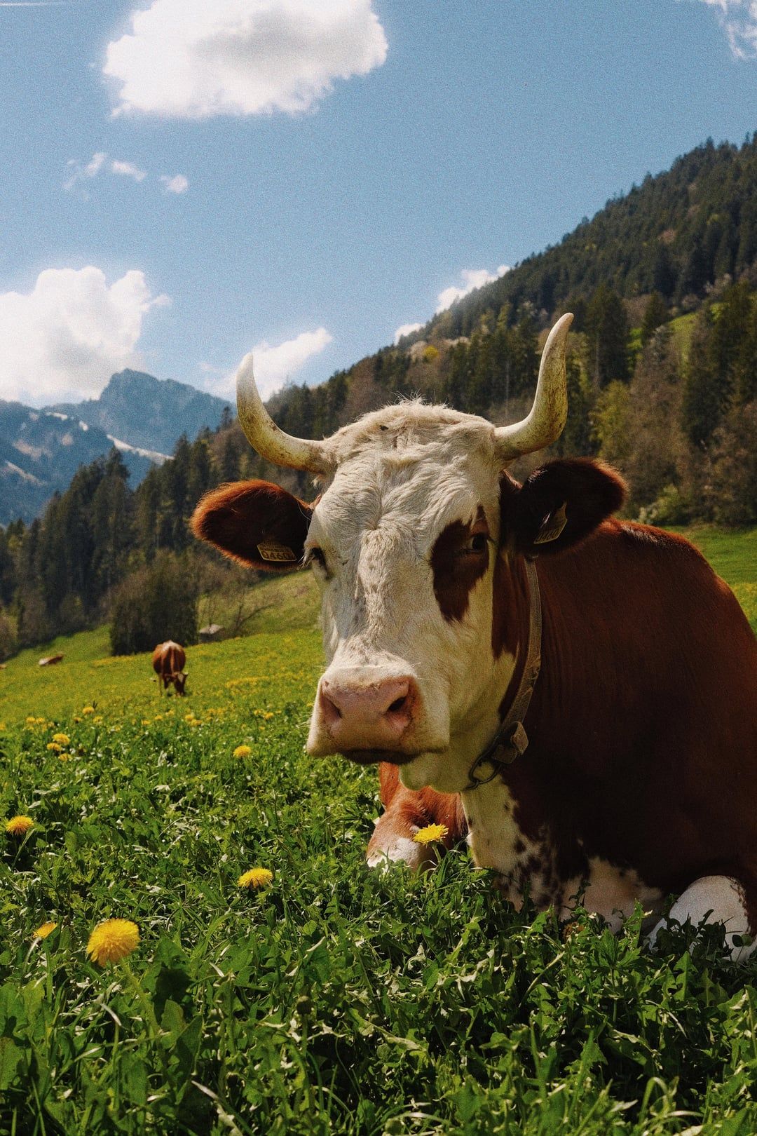 1080x1620 Gstaad, Switzerland