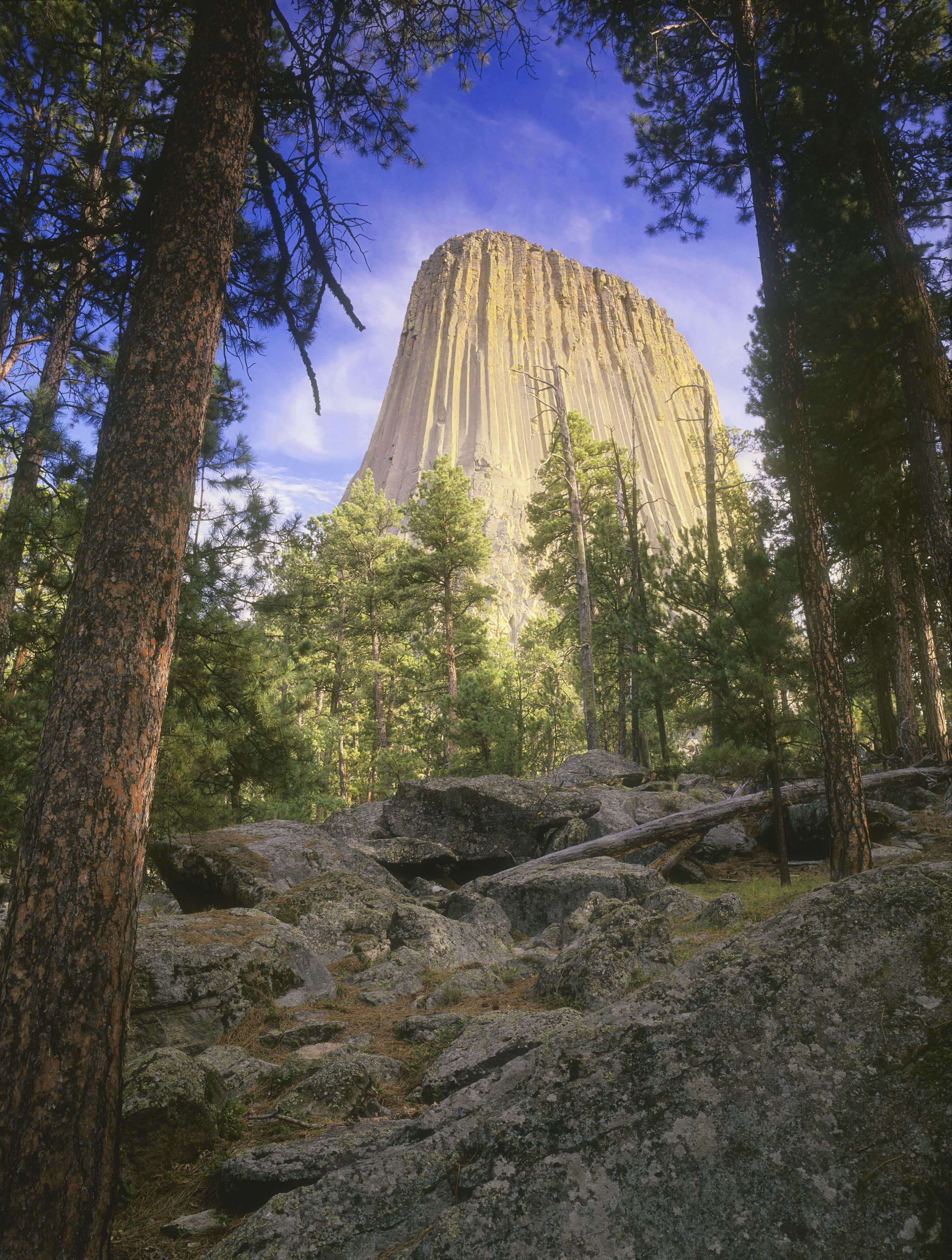 2418x3200 Devil's Tower Wall Mural