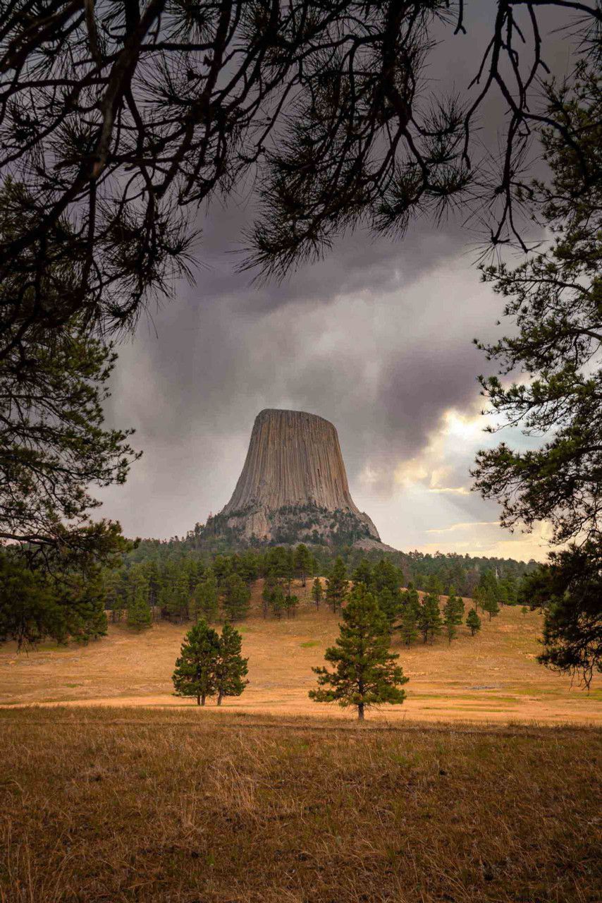 854x1280 Devils Tower