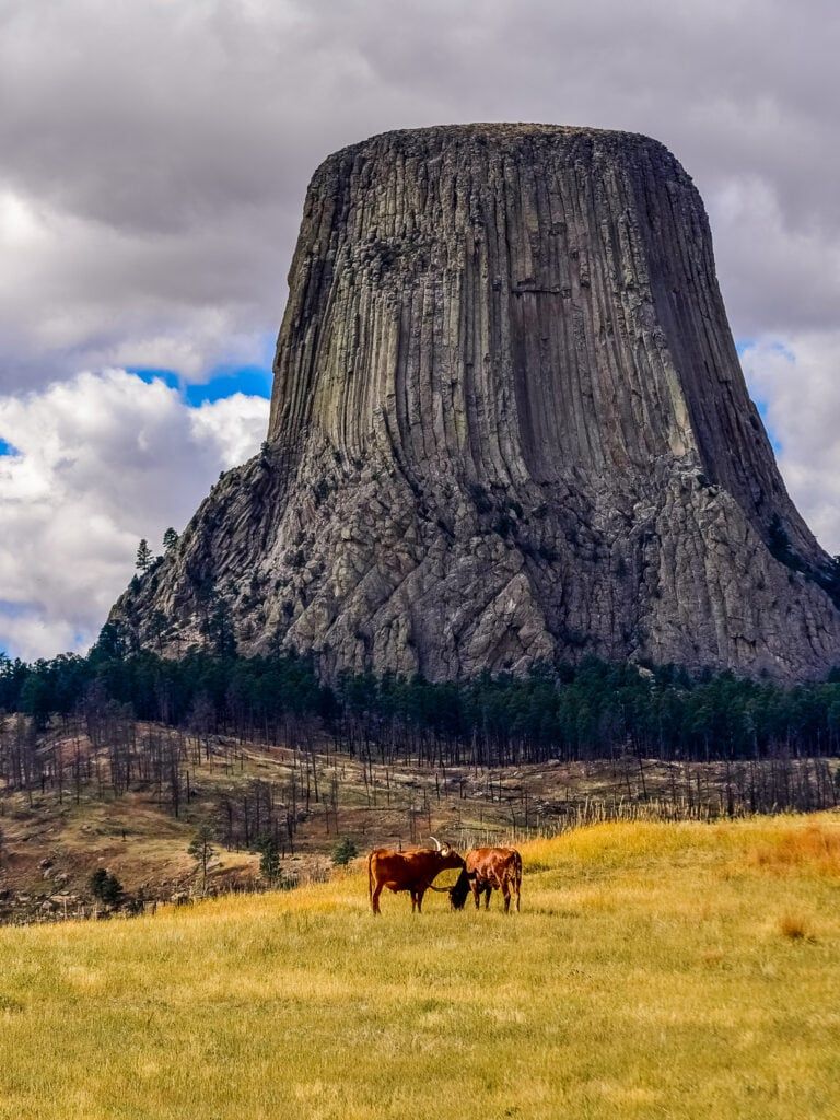 768x1024 A Local Guide's Favorite Routes for Climbing at Devils Tower