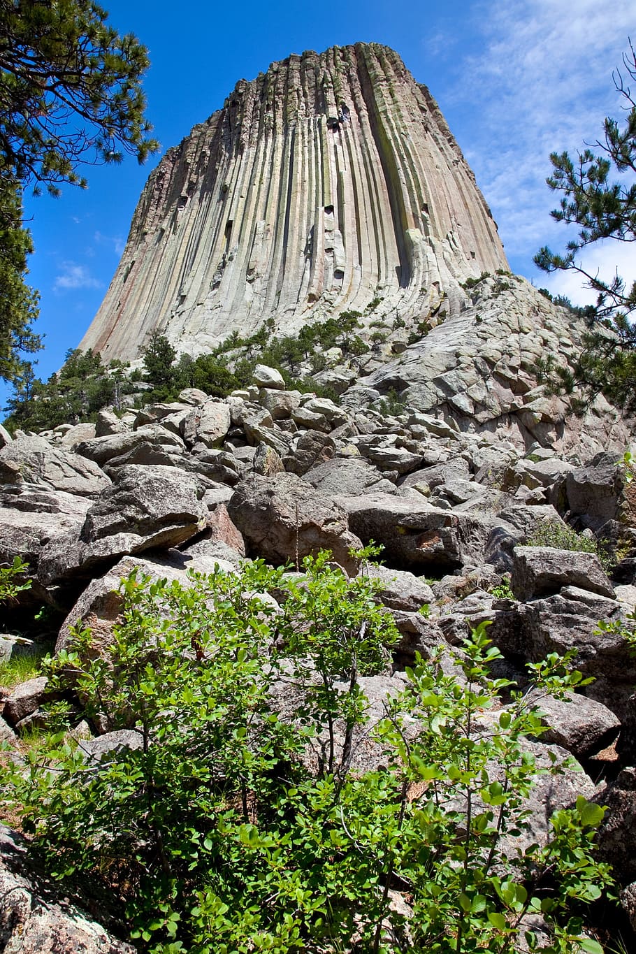 910x1365 Devils tower national monument 1080P, 2K, 4K, 5K HD wallpaper free download