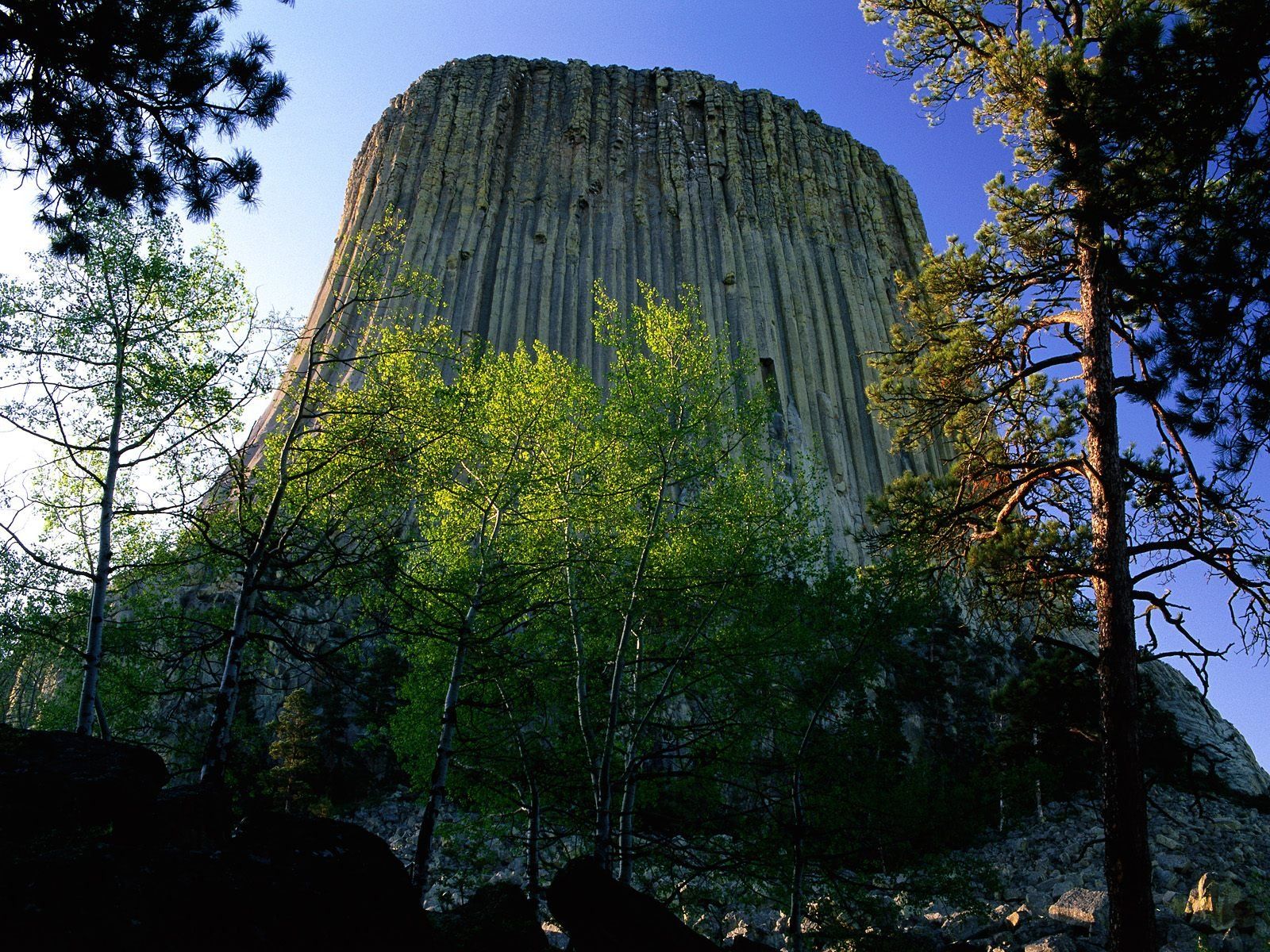 1600x1200 Download Nature Devils Tower Wallpaperx1200
