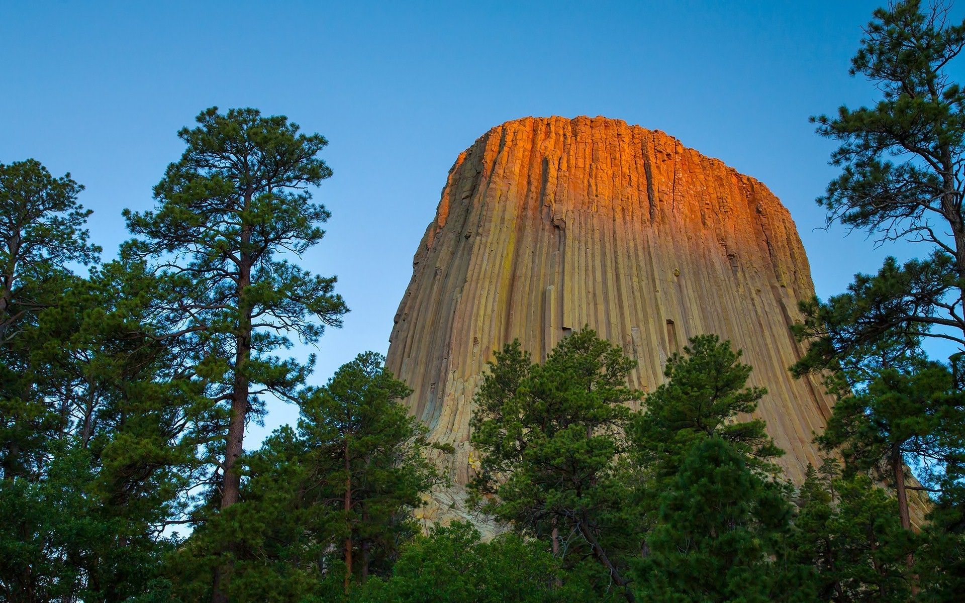 1920x1200 Devils Tower, Rock formation, Monuments, Forest, Wyoming Wallpaper HD / Desktop and Mobile Background