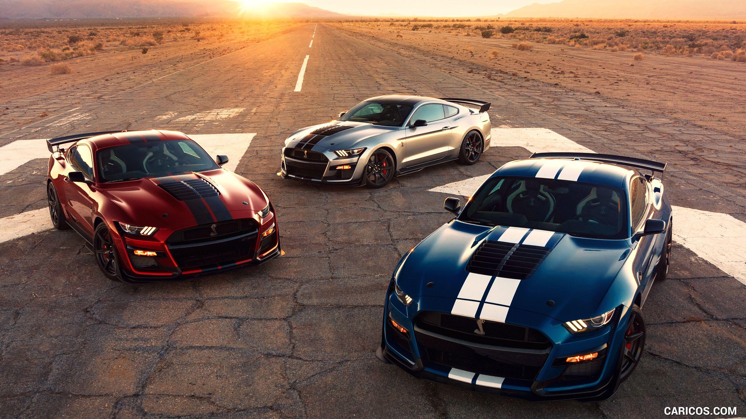 2560x1440 Free download 2020 Ford Mustang Shelby GT500 HD Wallpaper 110