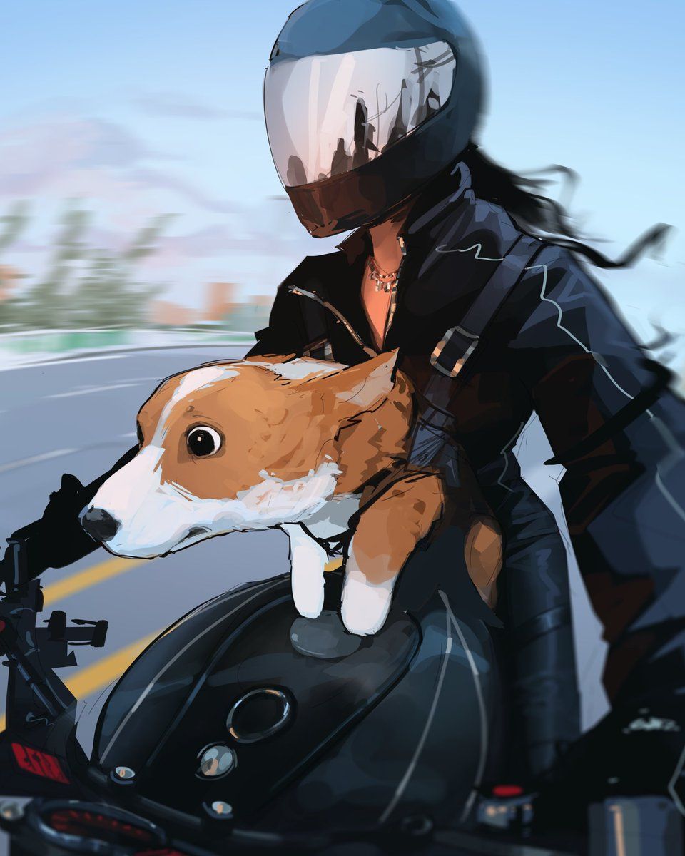 960x1200 Post by Sam Yang on X: Zoomies
