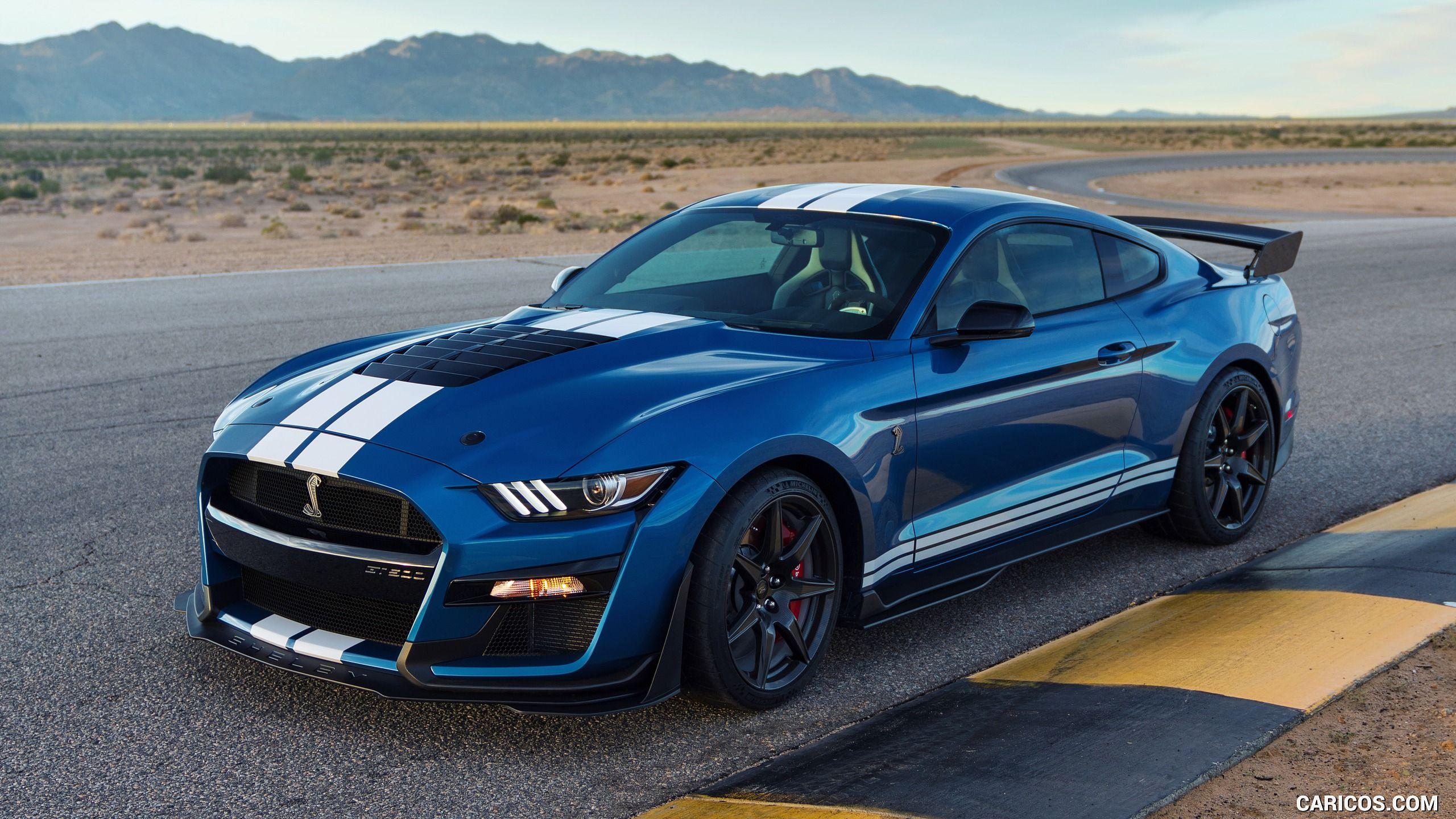 2560x1440 Ford Mustang Shelby GT500 Three Quarter. HD Wallpaper
