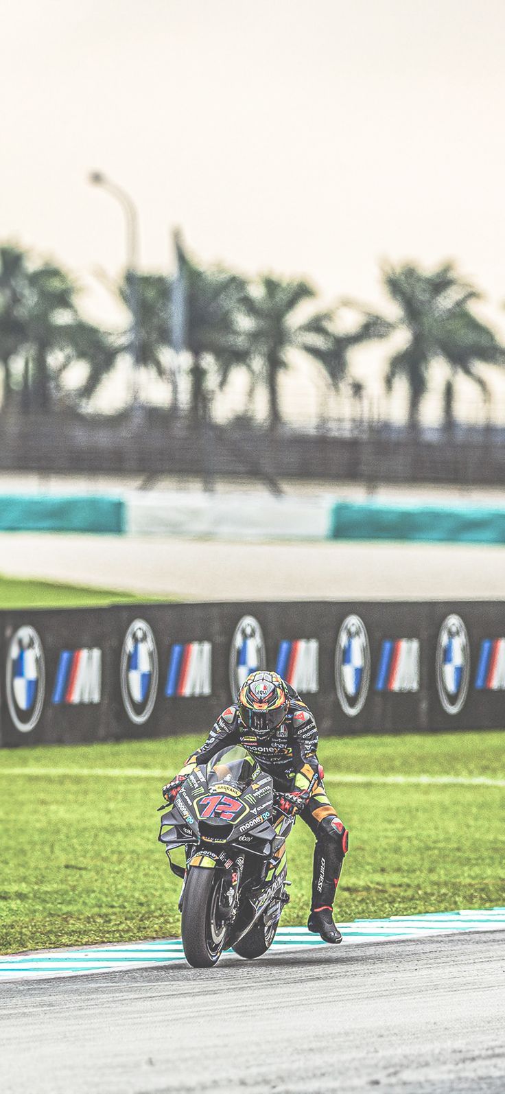 736x1594 Marco Bezzecchi MotoGP Phone Wallpaper