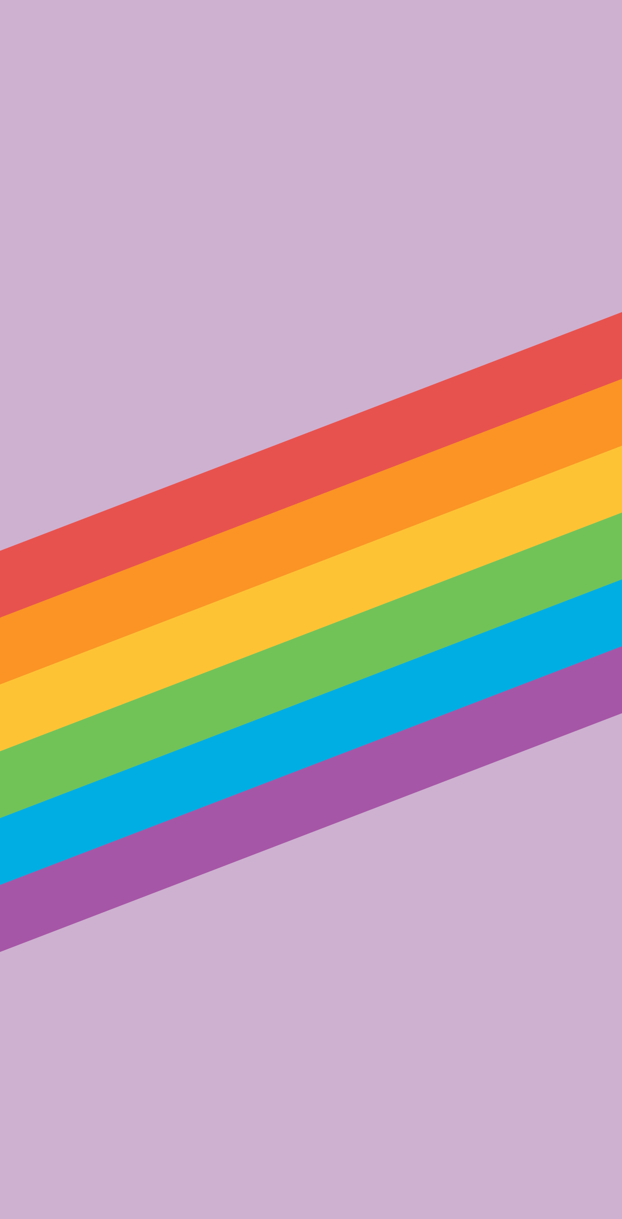 1243x2436 iPhone Pride Wallpaper