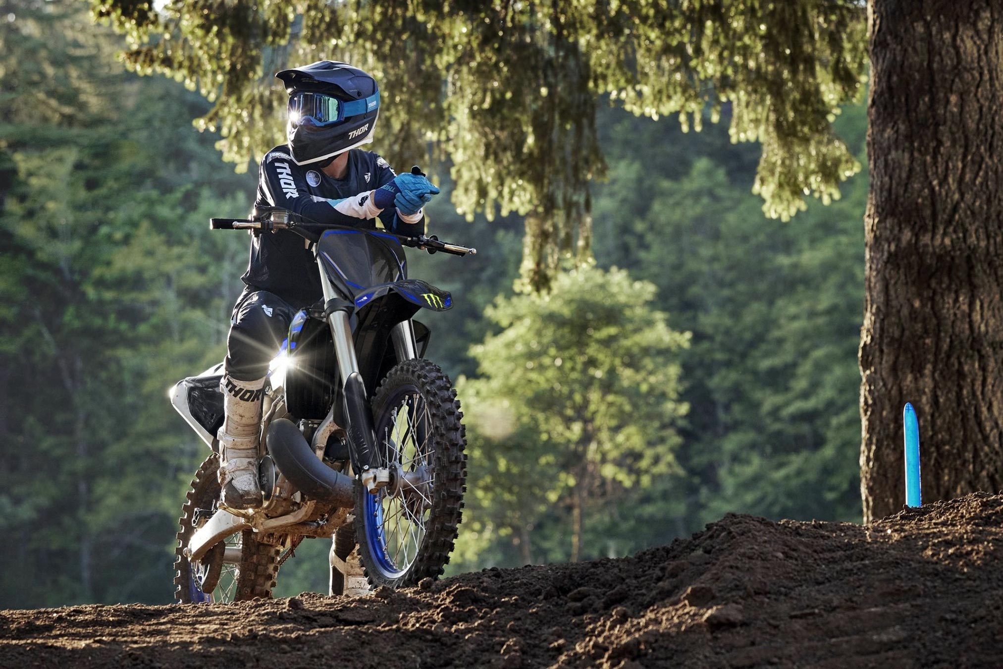 2025x1350 Yamaha YZ250 Monster Energy Edition Review