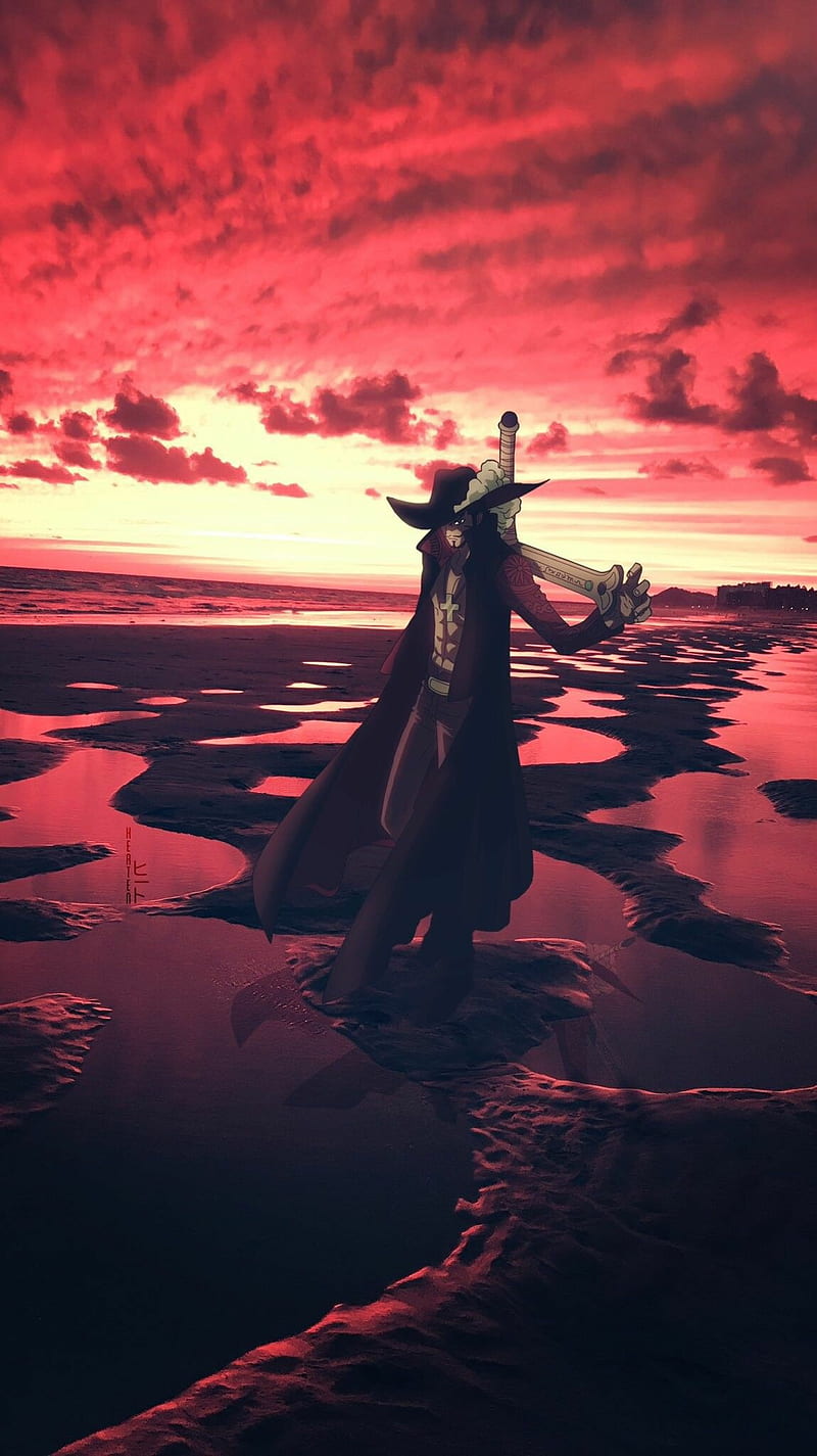 800x1425 One Piece Mihawk, anime, dracule mihawk, hawk eyes, mihawk, mugiwara, one piece, HD phone wallpaper
