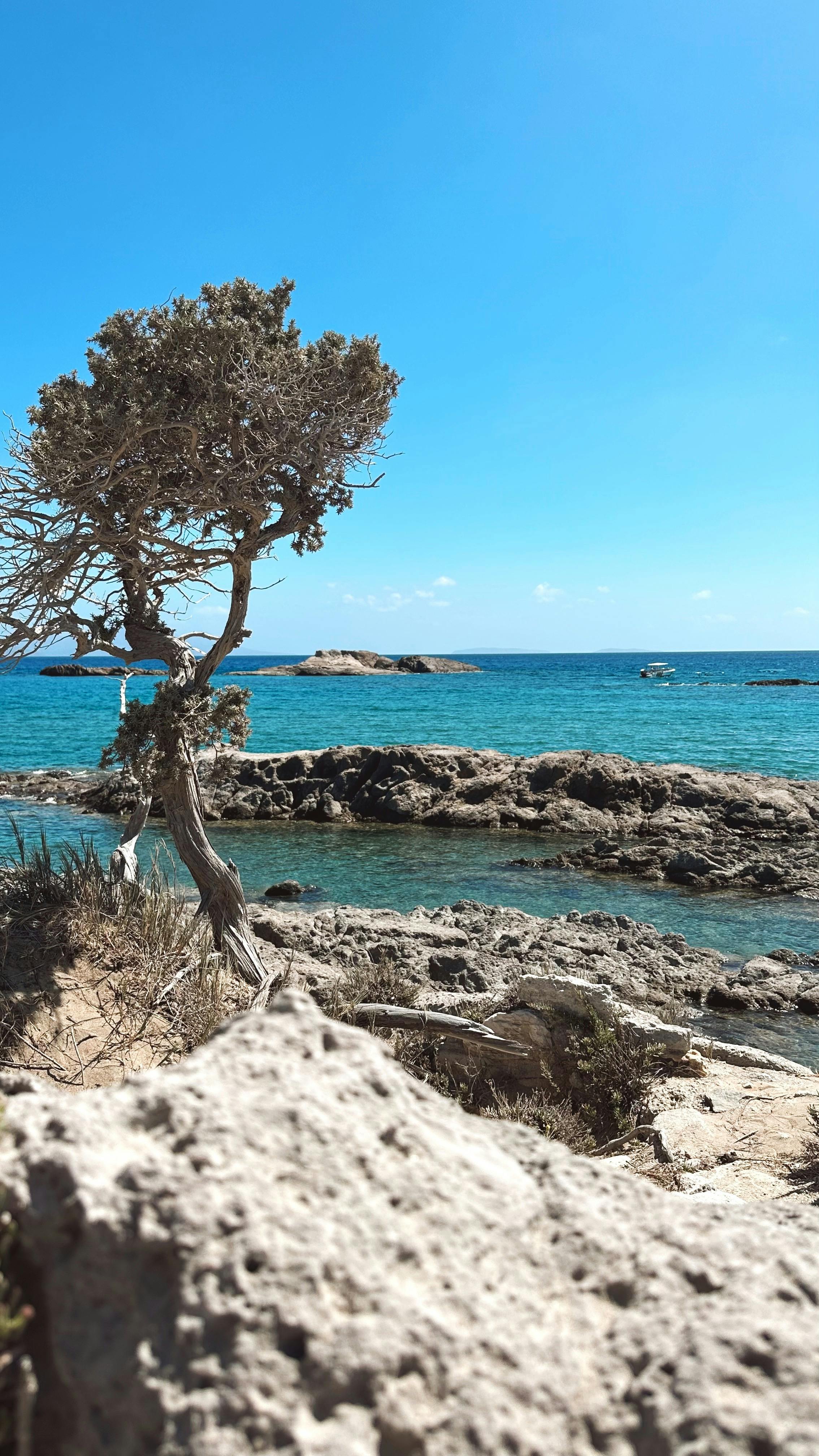 2268x4032 Greece Wallpaper iPhone Photo, Download The BEST Free Greece Wallpaper iPhone & HD Image