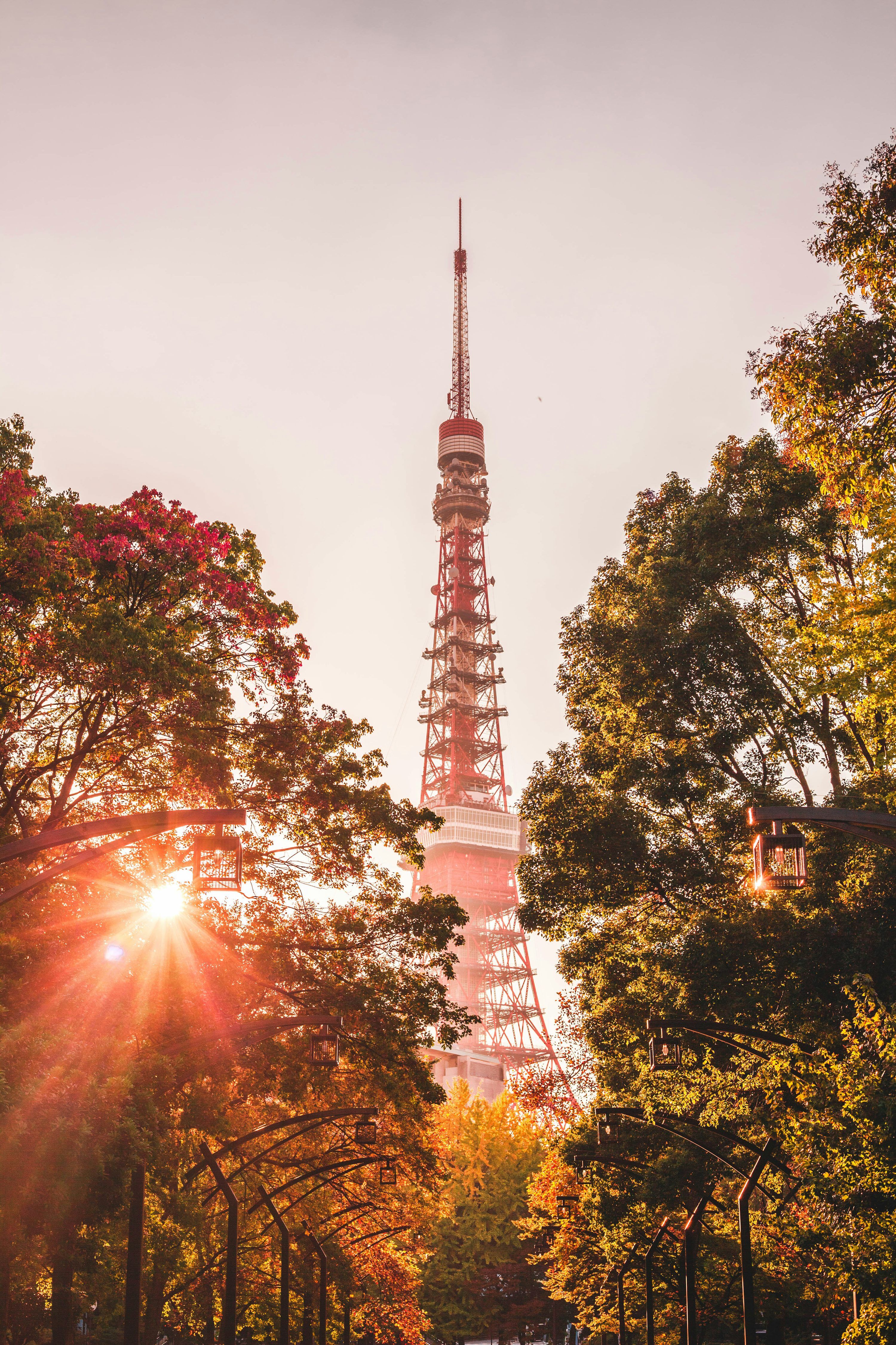 3000x4500 Autumn Japan Picture. Download Free Image