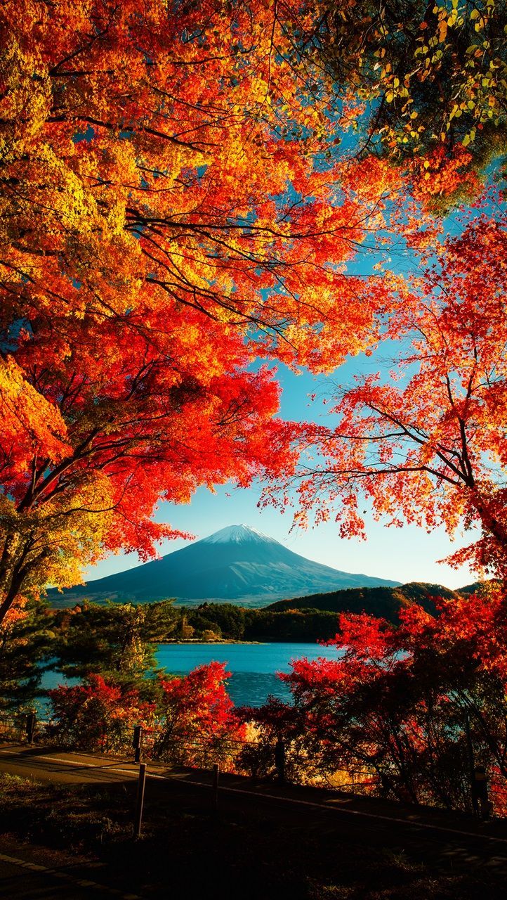 722x1280 Best Places To See Fall Foliage In Japan During Autumn