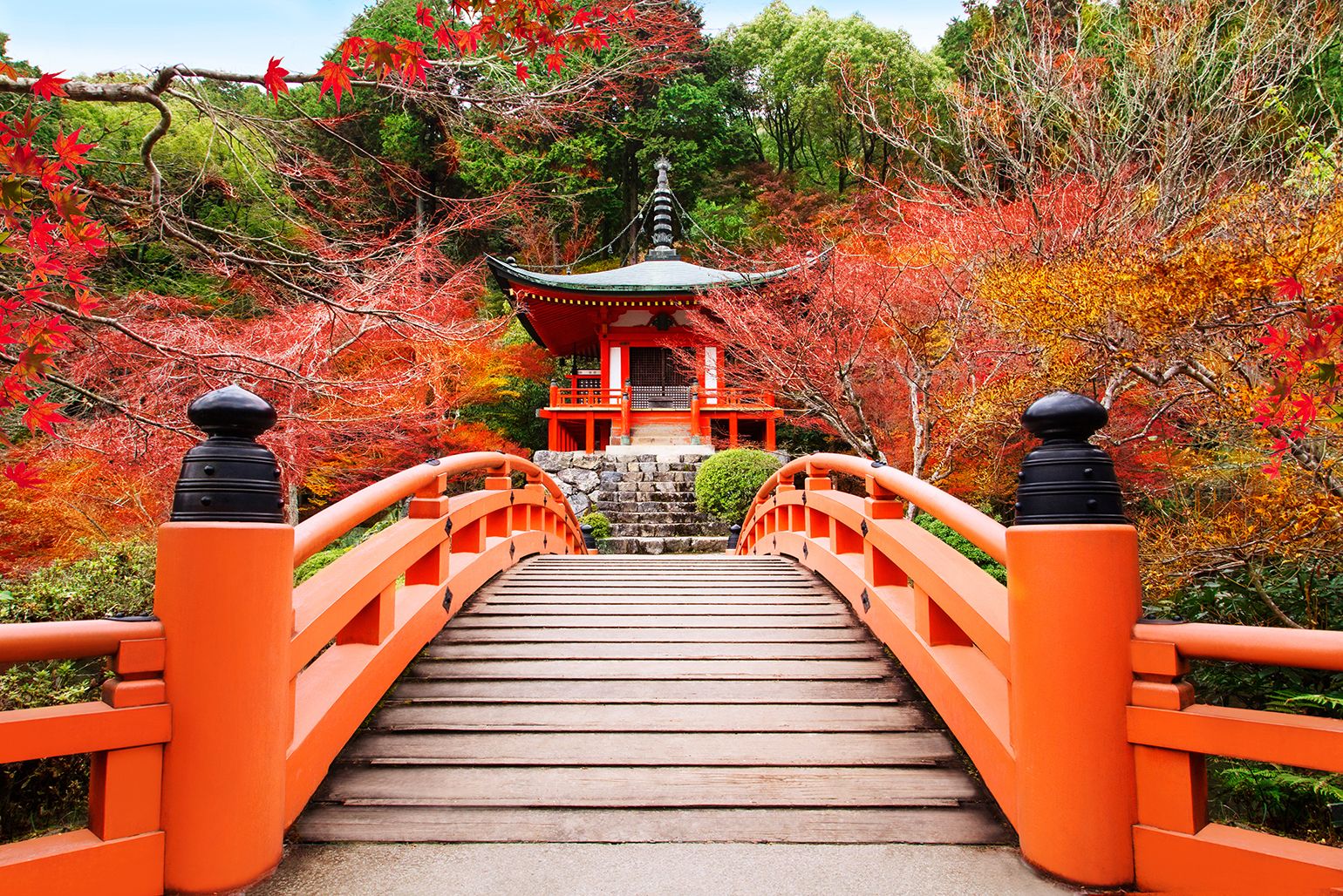 1540x1028 Top Places in Japan to See the Autumn Leaves