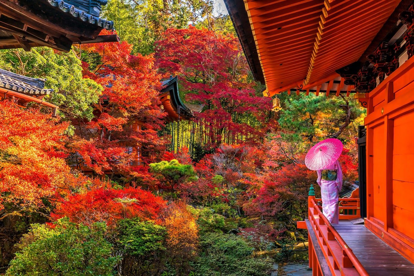 1383x923 Admire the Spectacular Autumn Foliage in Japan at 10 Breathtaking Locations
