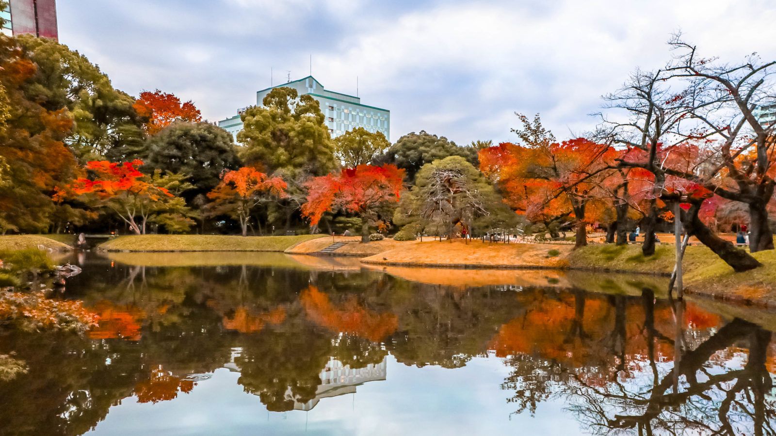 1600x900 Autumn in Tokyo, Japan. Alexis Jetsets. Places to Visit in Tokyo Japan - Alexis Jetsets