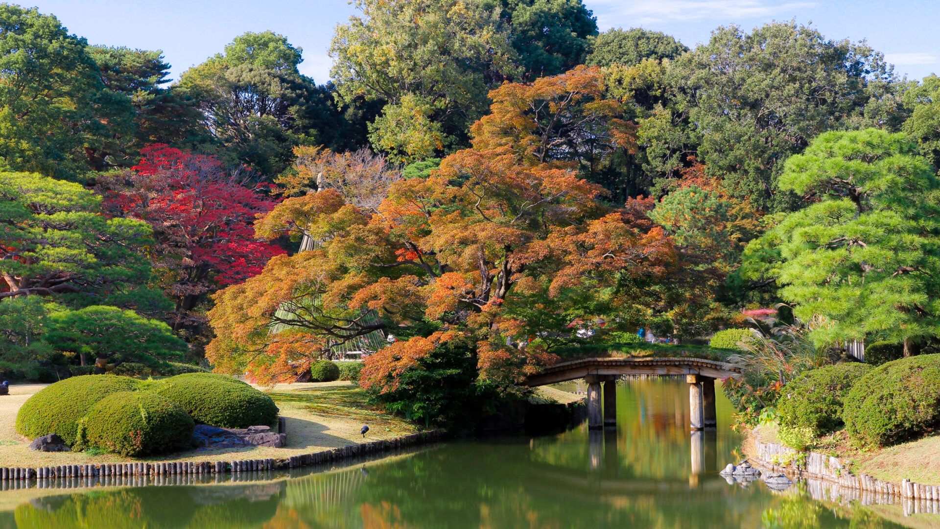 1920x1080 Autumn Leaves in Tokyo