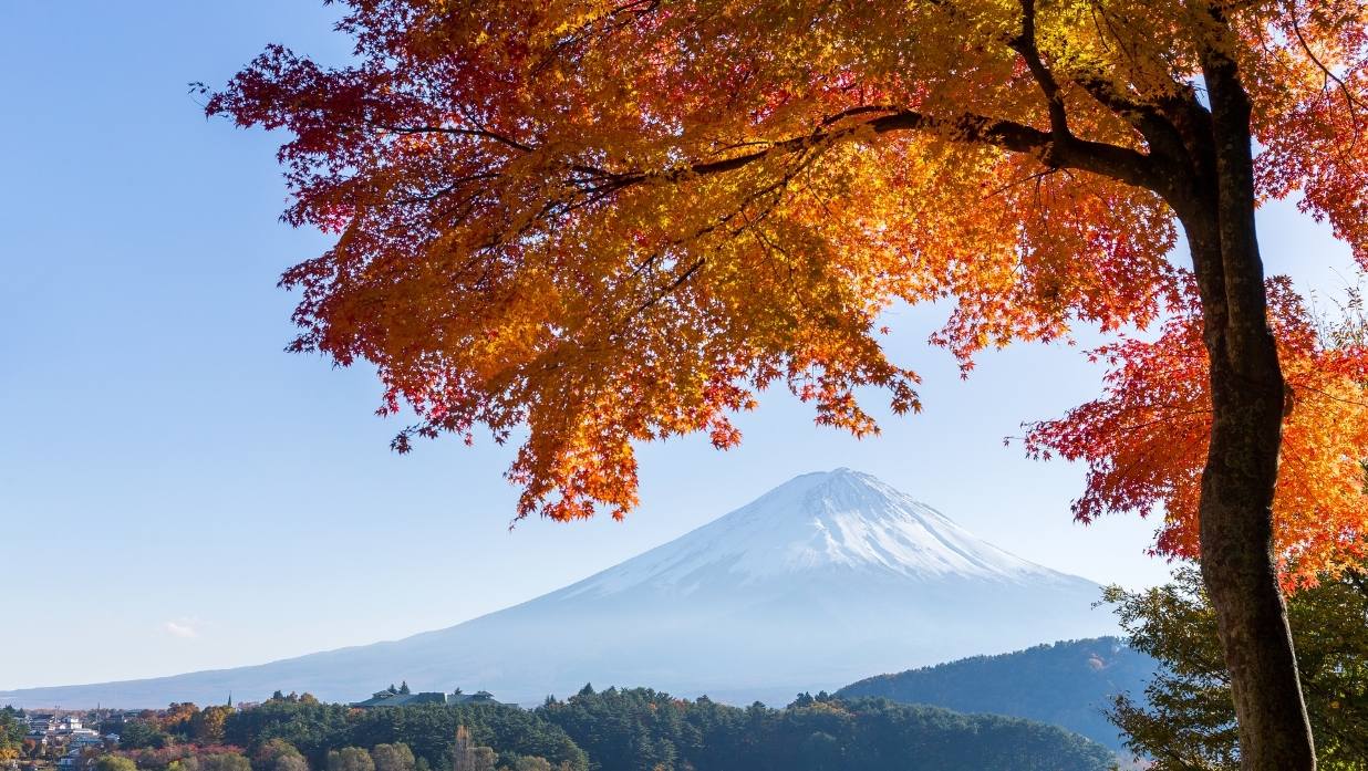 1236x697 Tokyo Fall Guide 2025: Things to Do During Autumn