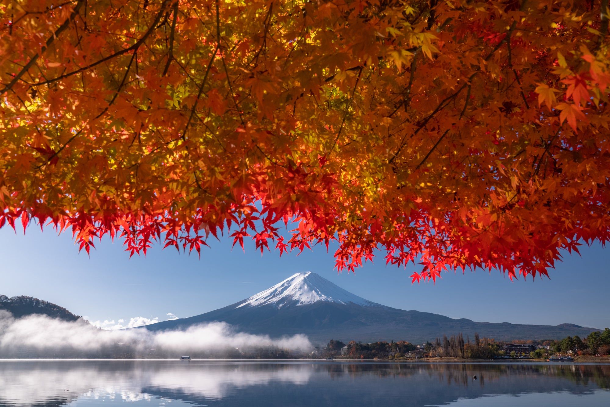 2000x1334 Tokyo Japan Foliage, Halal Prayer & Meals Guide. Muslim Tourist Information Centre