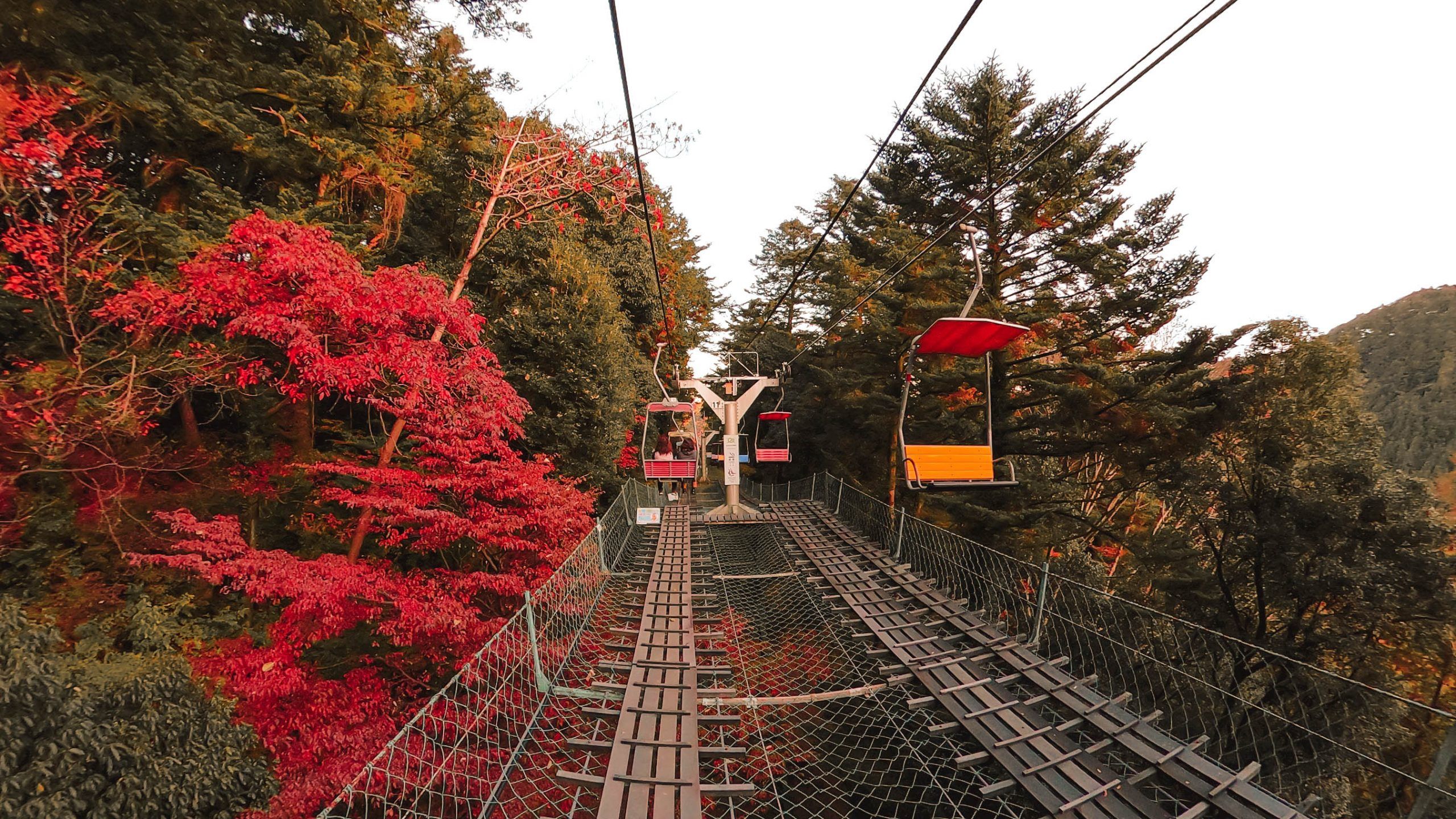 2560x1440 Spots for Autumn Colors Around Tokyo