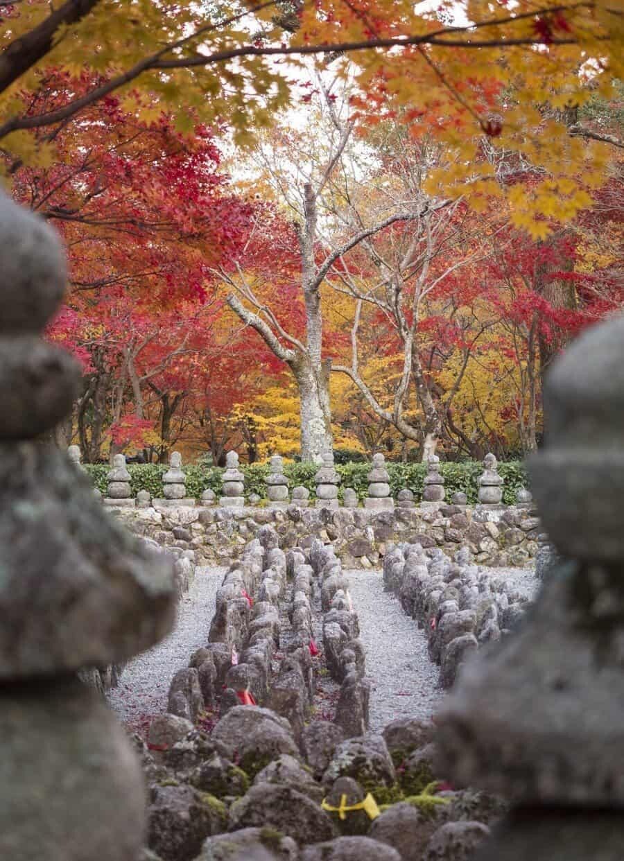 900x1242 Autumn in Japan and Photography Tips for Kyoto + Tokyo