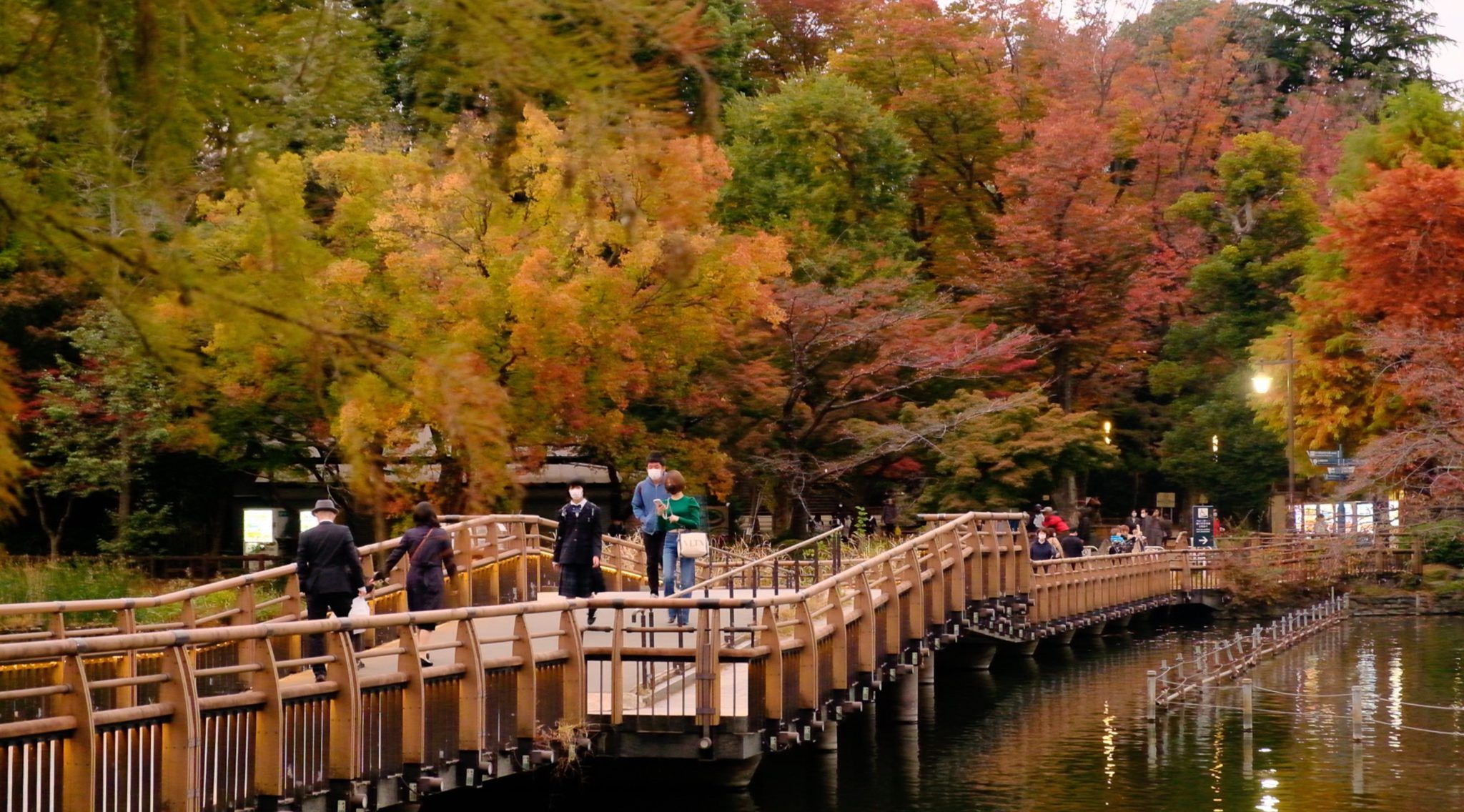 2048x1136 Autumn Colors: Three Easy to Get To Spots for Enjoying Momiji Around Tokyo