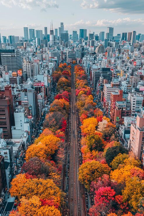 493x740 Tokyo fall Image