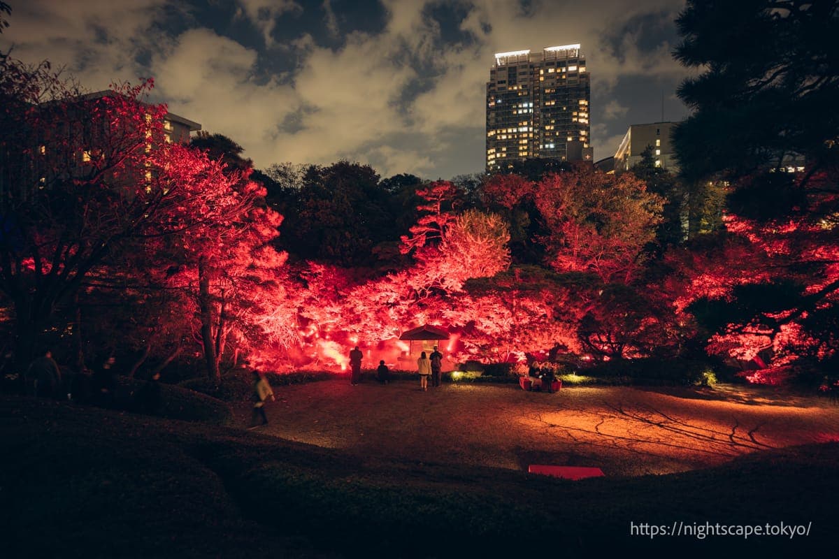 1200x800 Autumn Leaves Night View Spots. Tokyo Night View Guide
