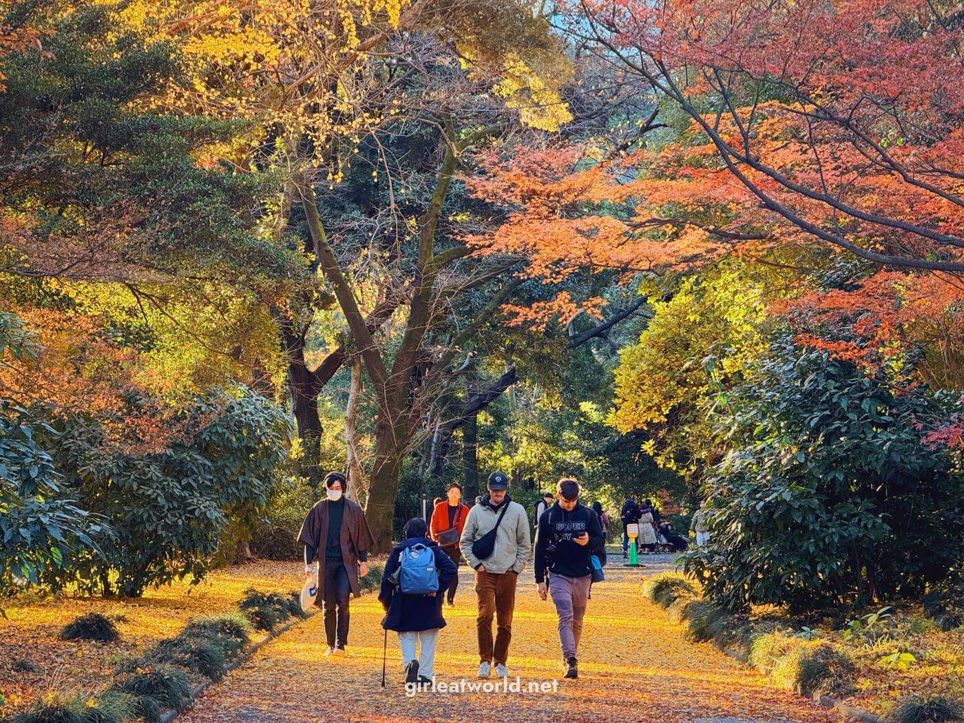 1400x1050 Visiting Japan in the Fall: Experience the Colorful Autumn Leaves in Japan