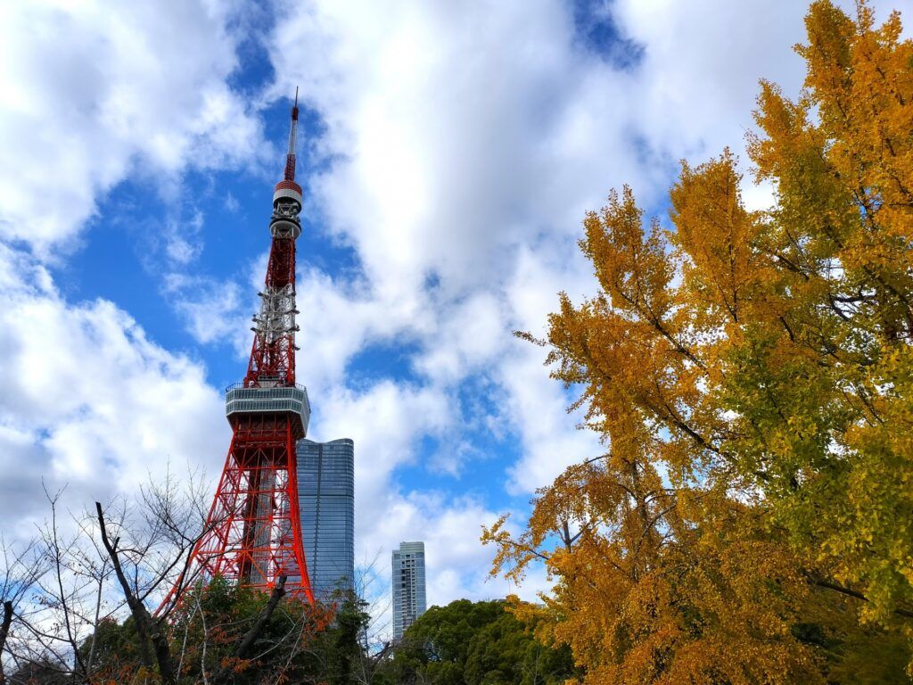 1024x768 Tokyo Autumn Tour 2025: Full Day Scenic Adventure For Stunning Fall Foliage