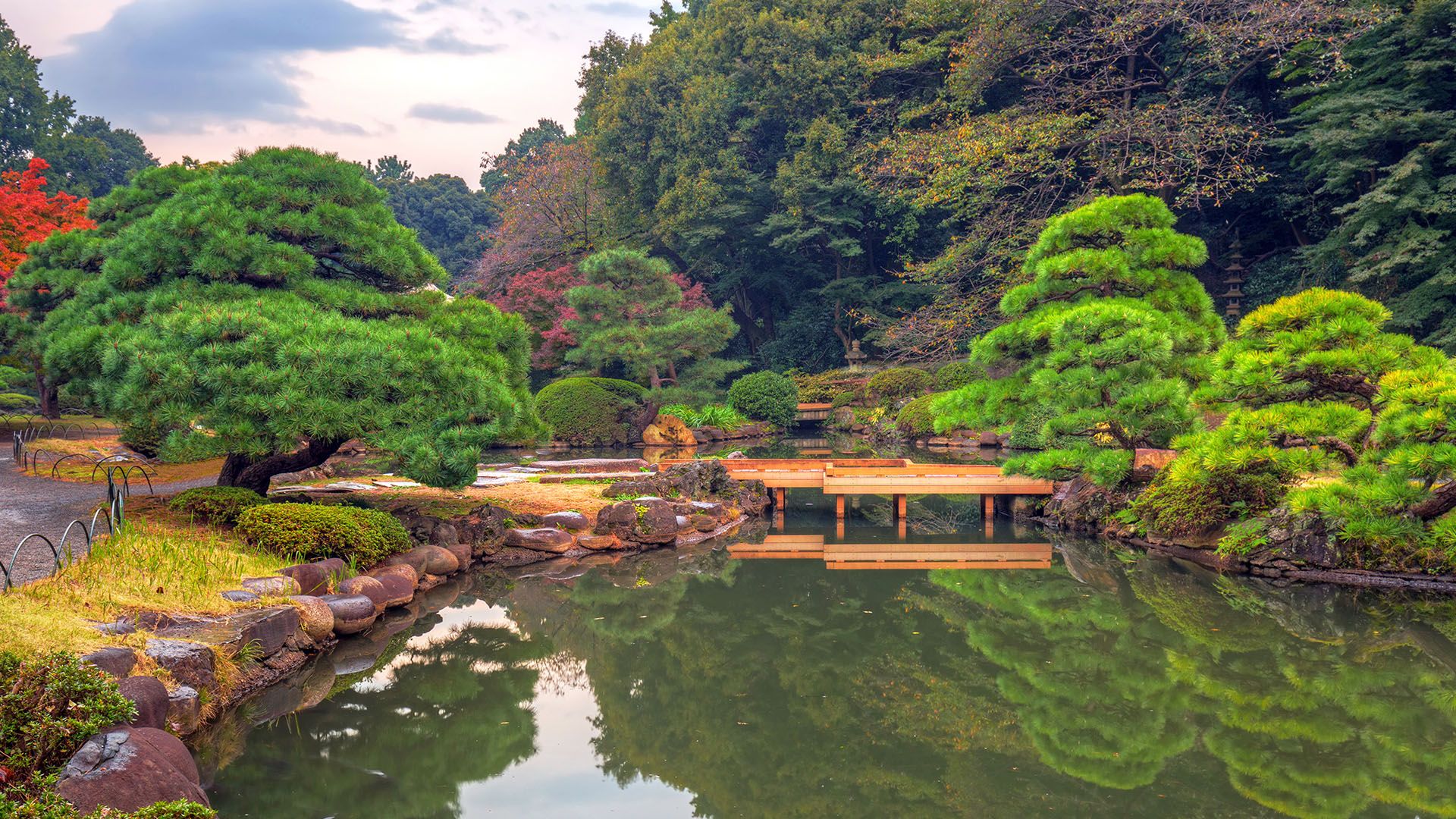1920x1080 Autumn in the Shinjuku Gyoen Park and Garden, Tokyo, Japan. Windows Spotlight Image