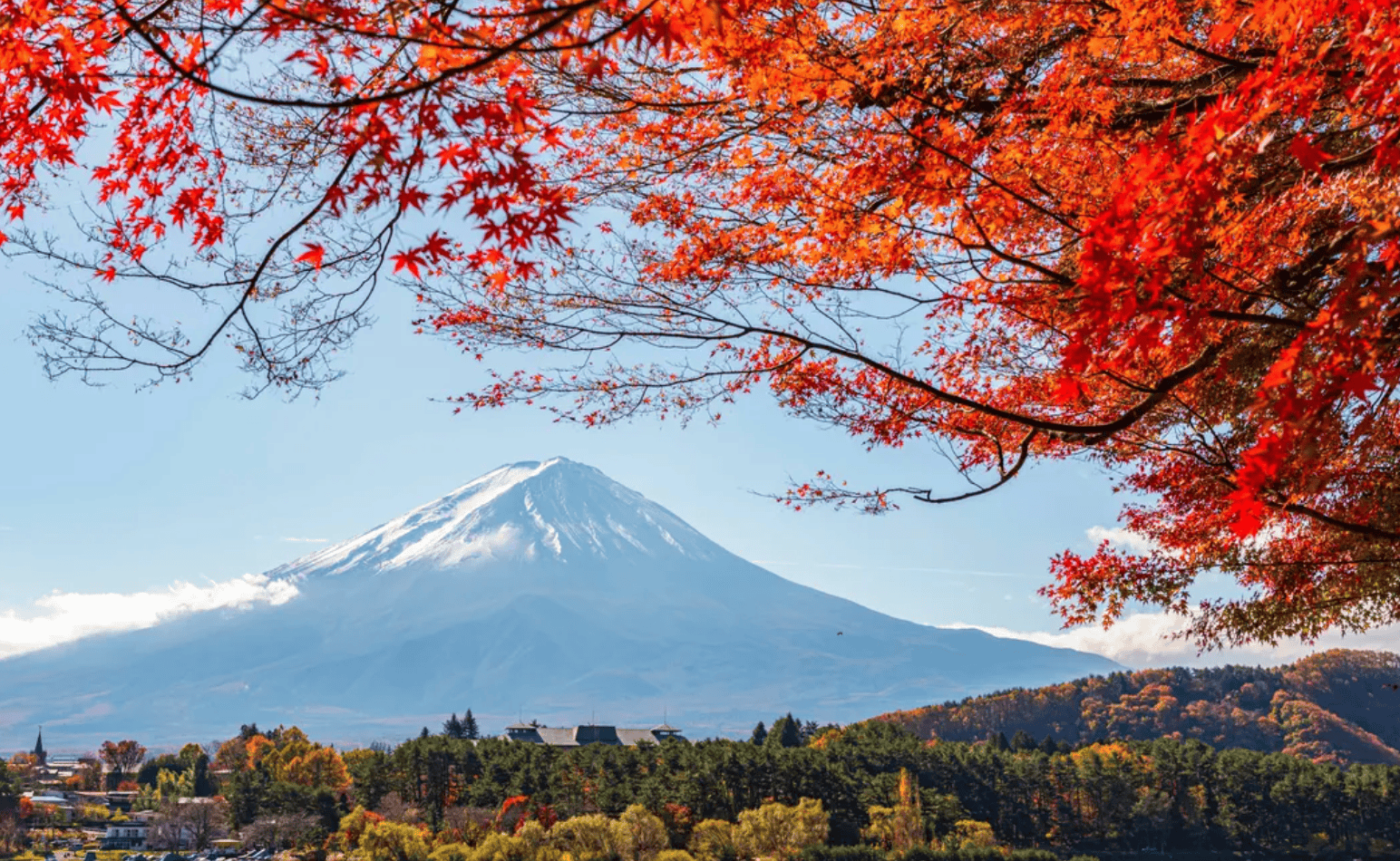 1544x950 Tokyo Autumn Foliage Guide 2024 Must See Maple Viewing Spots! Includes Transportation Routes & Best Viewing Times
