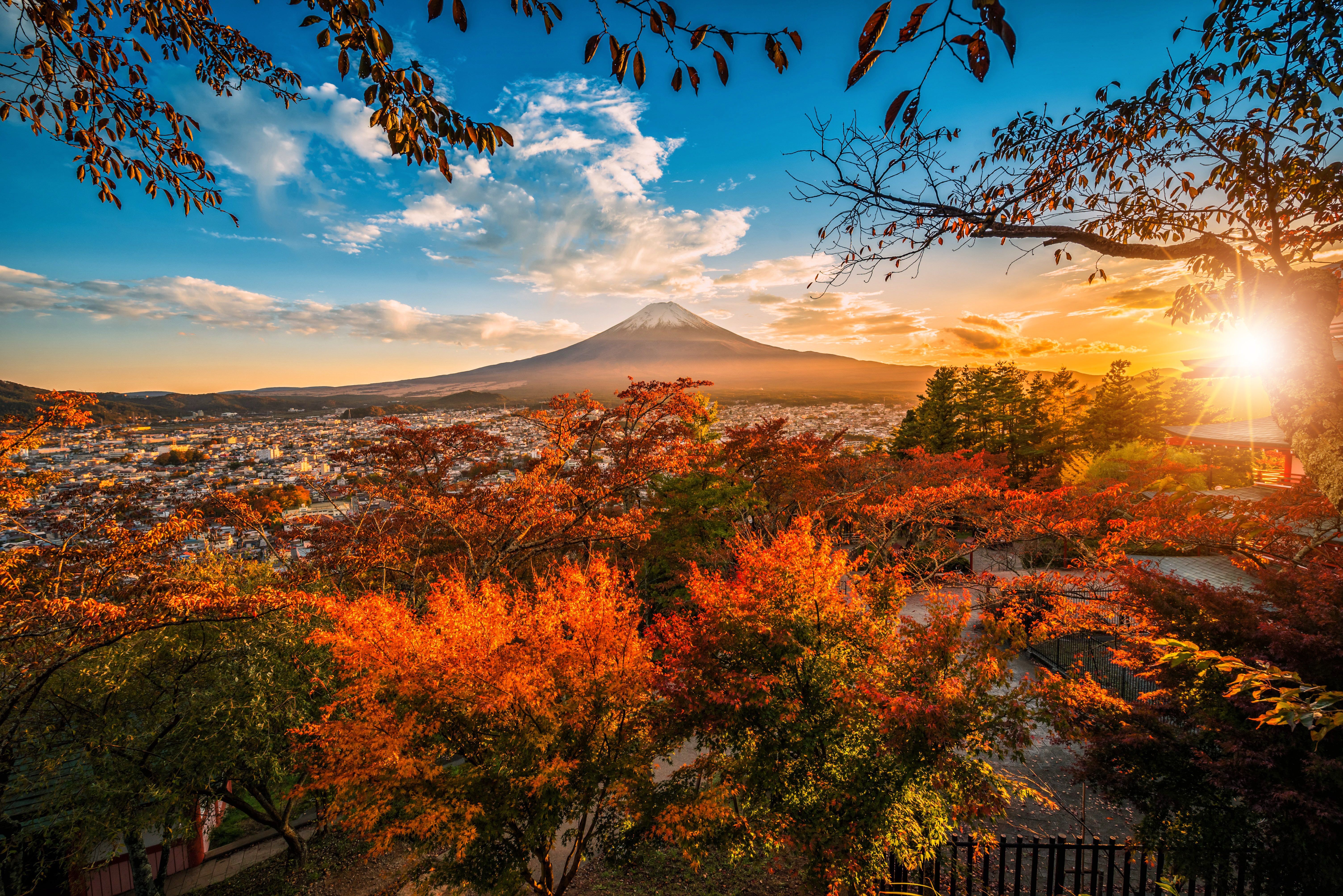 6016x4016 2025】Unmissable Tokyo: Spots in Japan to Visit