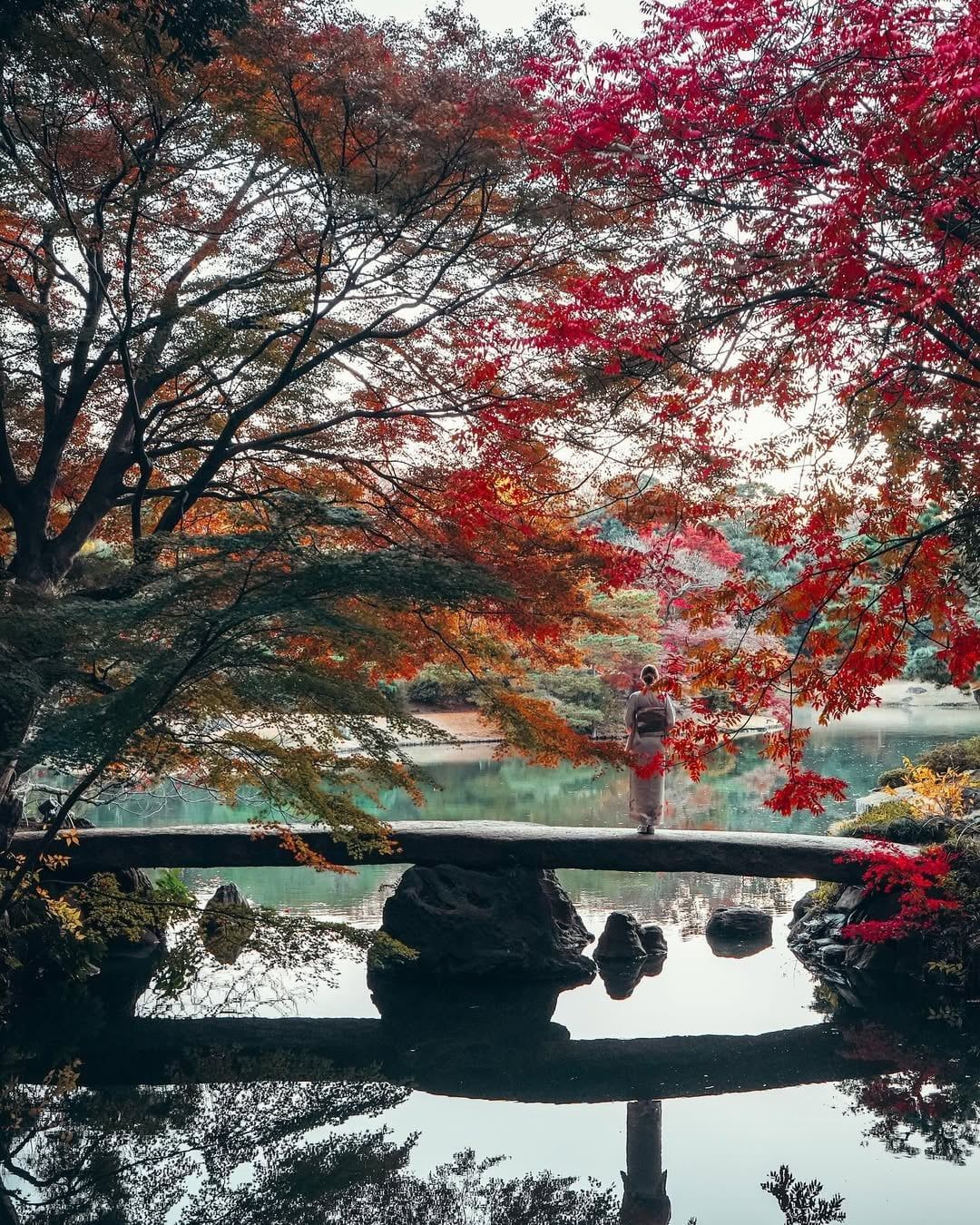 1080x1350 Guide To Seeing Autumn Leaves In Japan 2025
