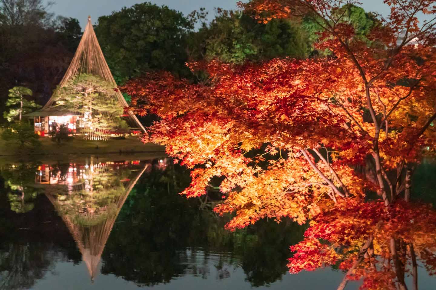1440x960 Tokyo Autumn Colors: 9 Best Spots with Forecasts & Events. Japan Travel by NAVITIME Travel Guides, Transit Search and Itinerary Planner