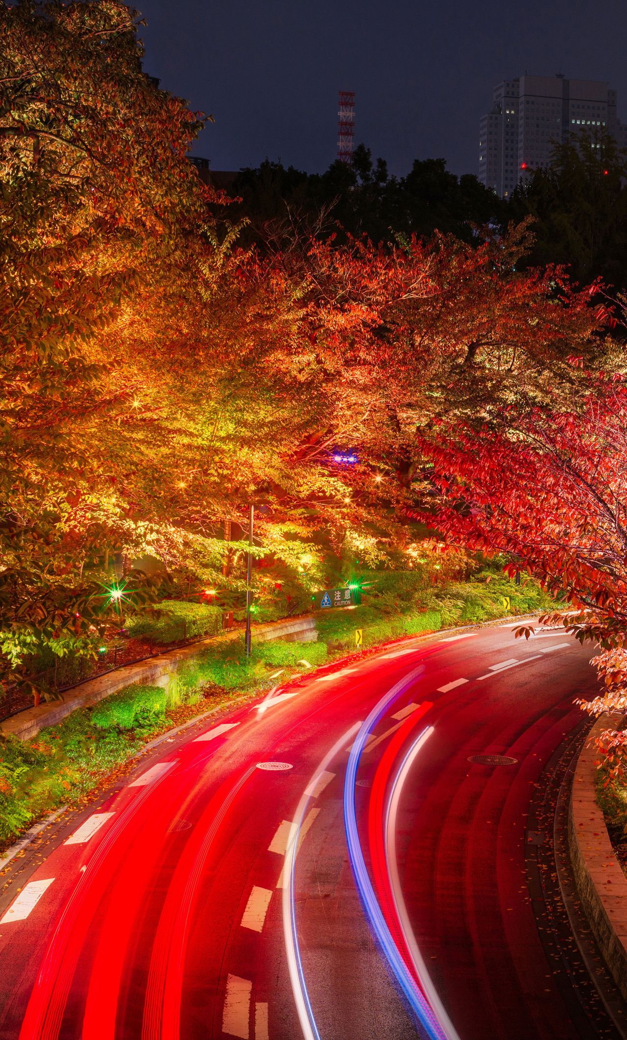 1280x2120 Japan Tokyo Roads Autumn Trees Night iPhone , HD 4k Wallpaper , Image, Background, Photos and Picture