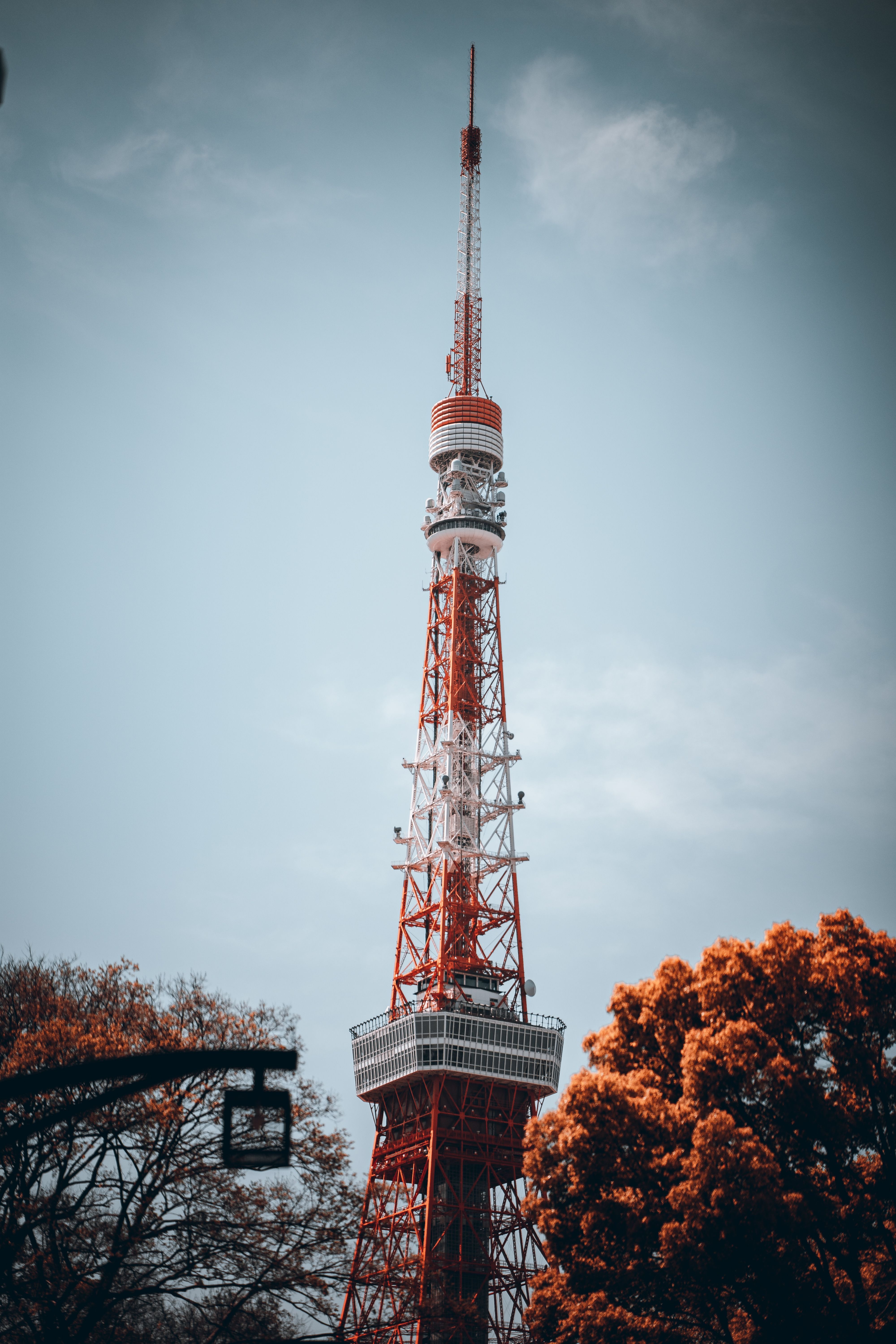 4000x6000 View of Autumnal Trees and the Tokyo Tower · Free