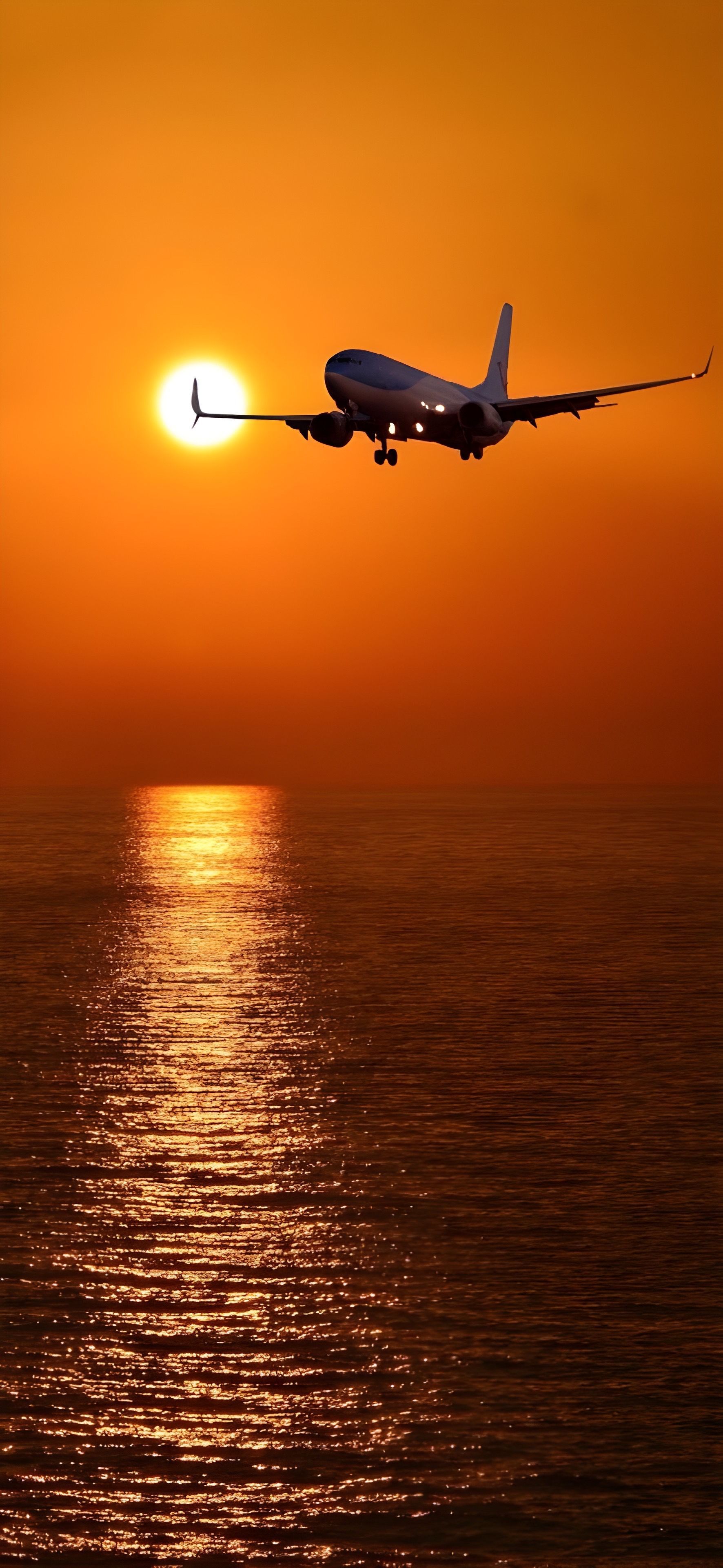 1772x3840 Sunset Flight Wallpaper