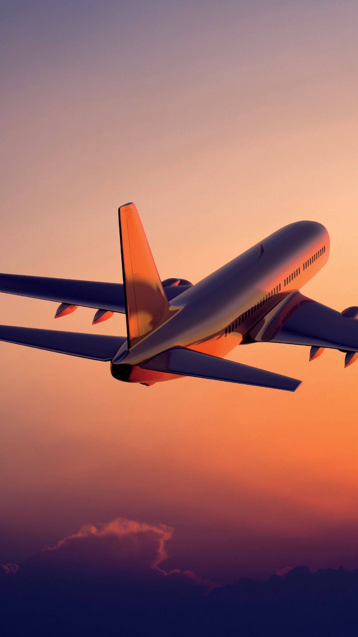 1440x2560 Download Sunset With Ascending White Airplane Android Wallpaper