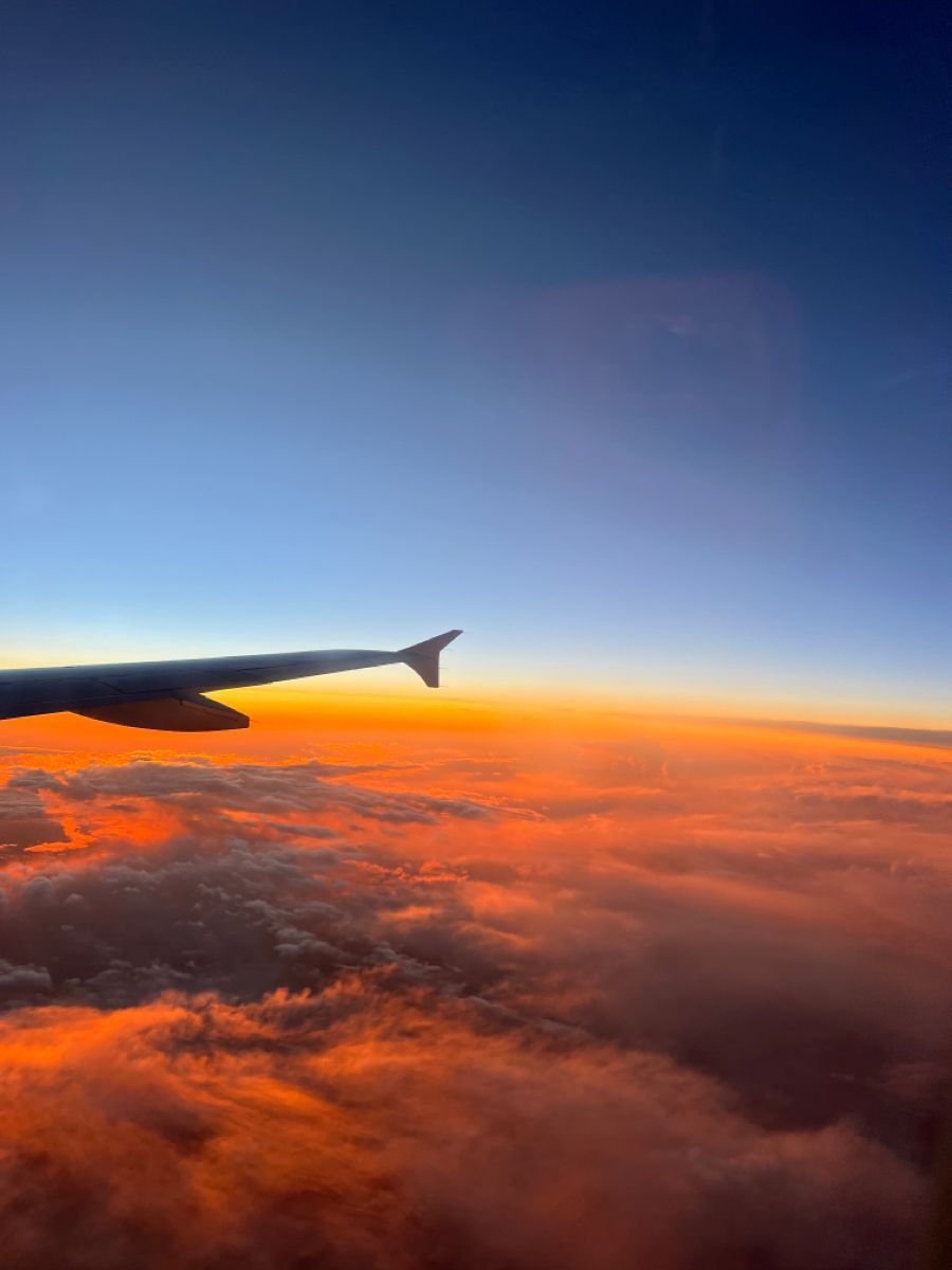 900x1200 Sunset Flight Wallpaper