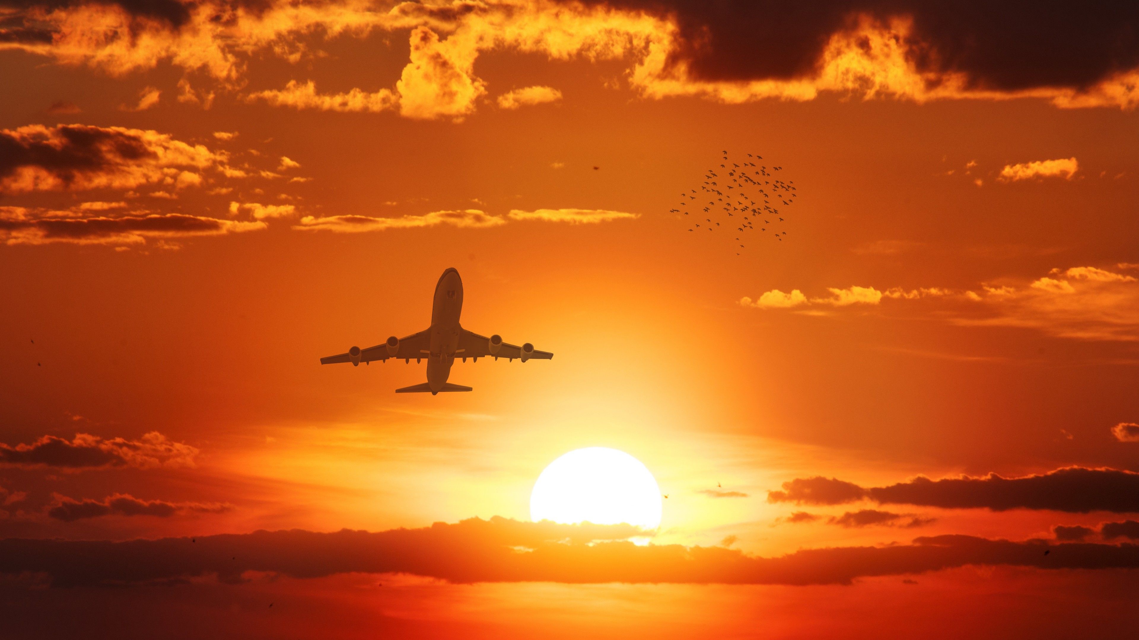 3840x2160 Airplane flying in the sunset