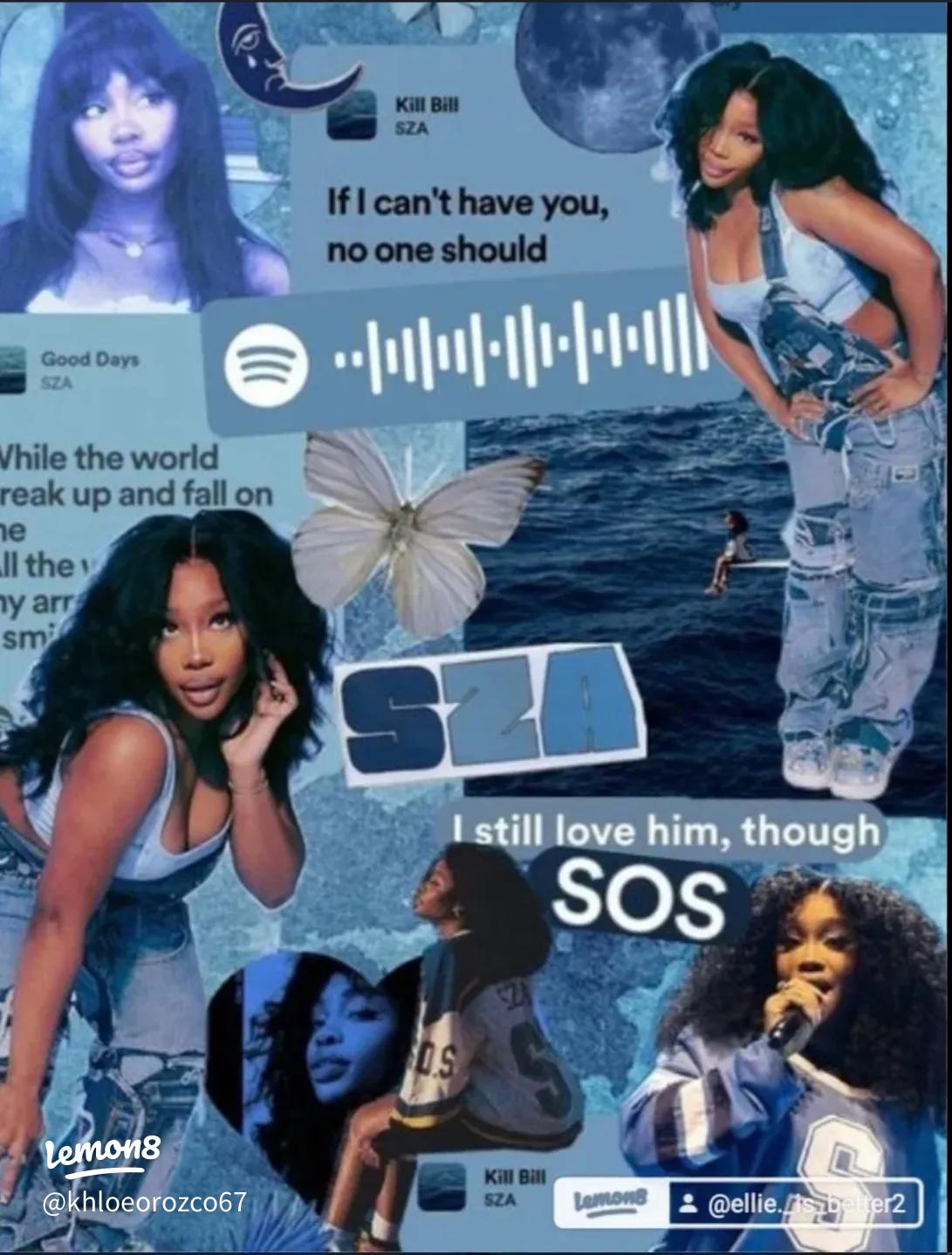 1091x1439 SZA PFP Wallpaper